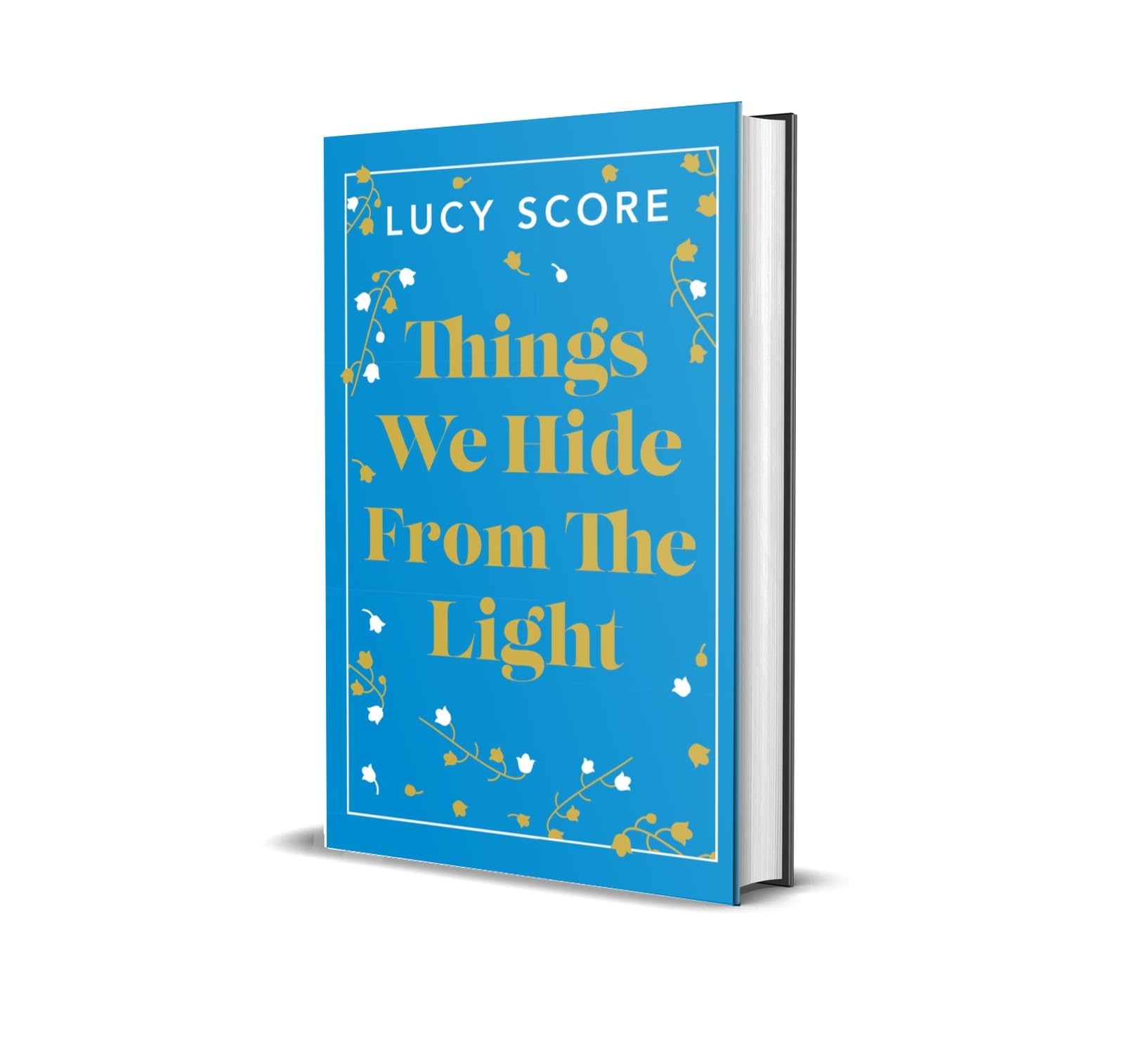 Things We Hide From The Light: the Sunday Times bestseller and TikTok sensation – Lucy's new book Story of My Life is out now! (Knockemout™ Series) Contemporary literature Books