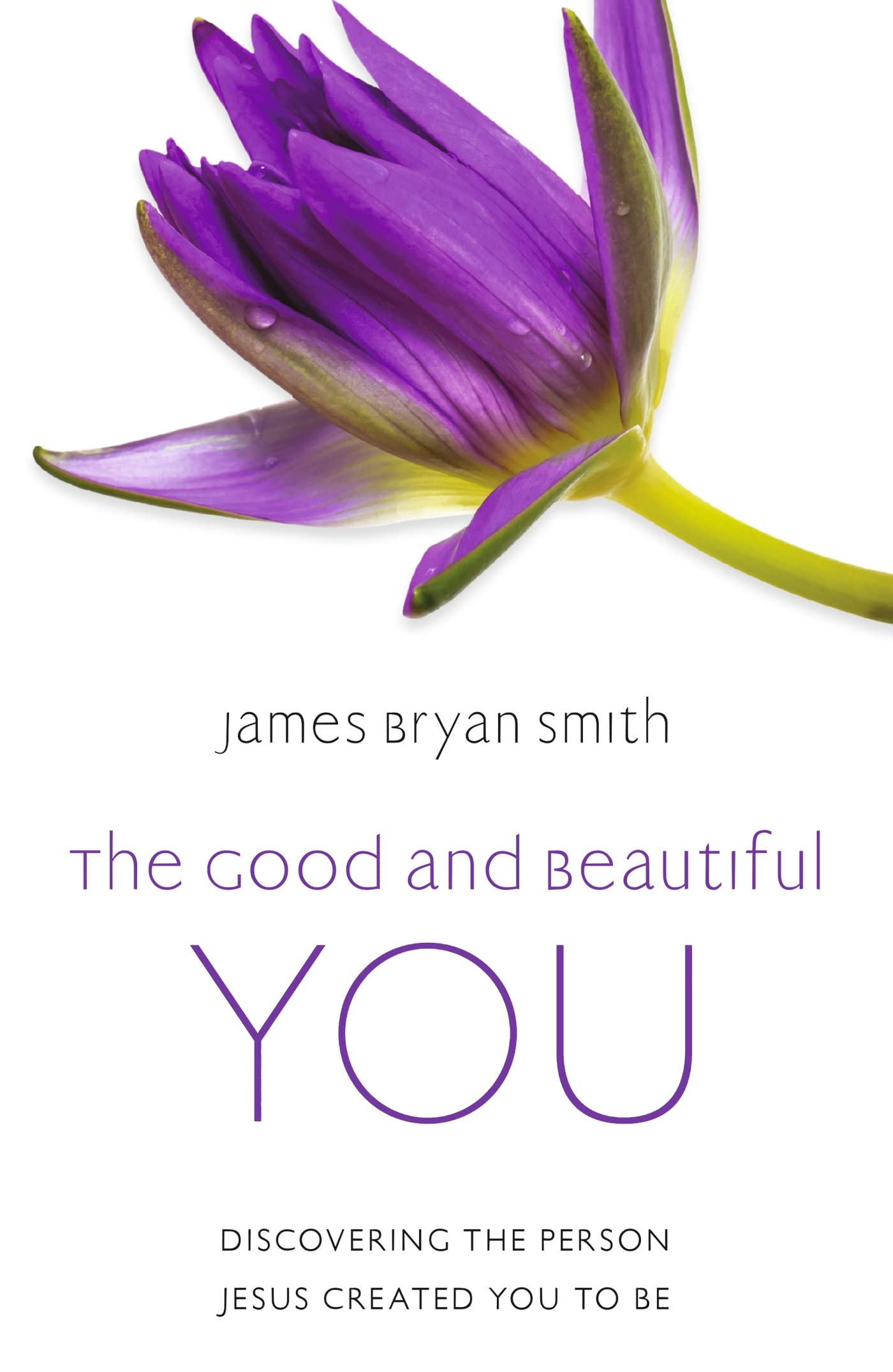 The Good and Beautiful You: Discovering the Person Jesus Created You to Be Religion & Esotericism