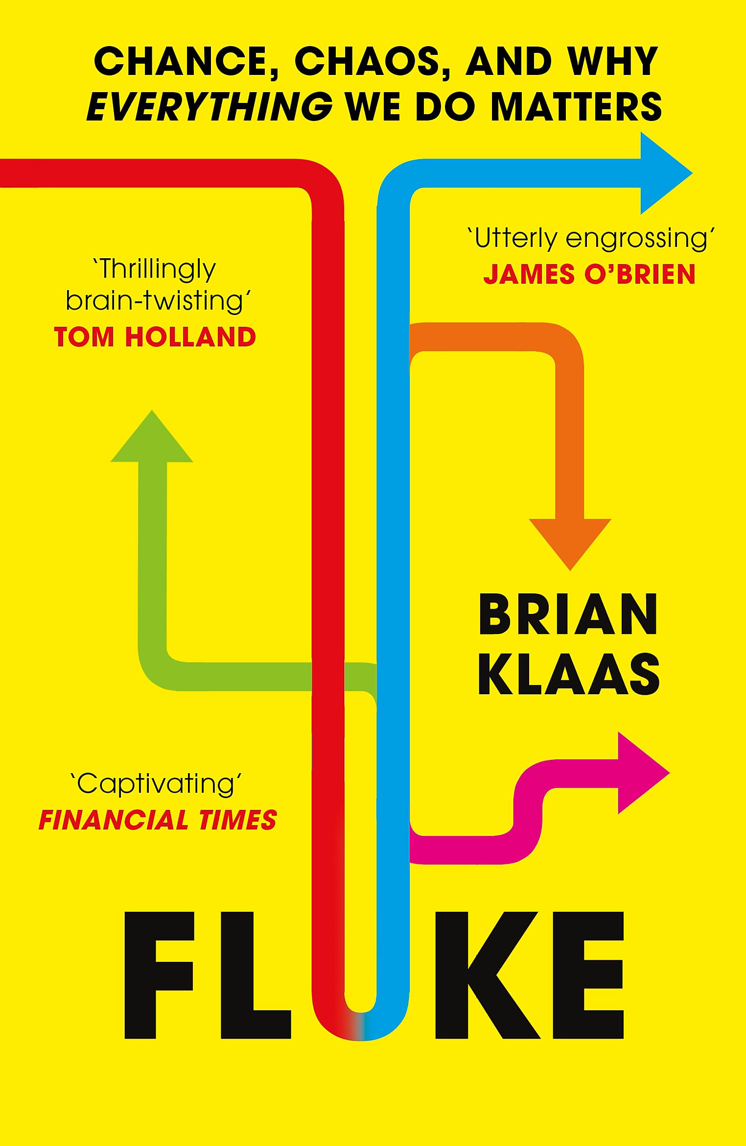 Fluke: Chance, Chaos, and Why Everything We Do Matters Social Sciences