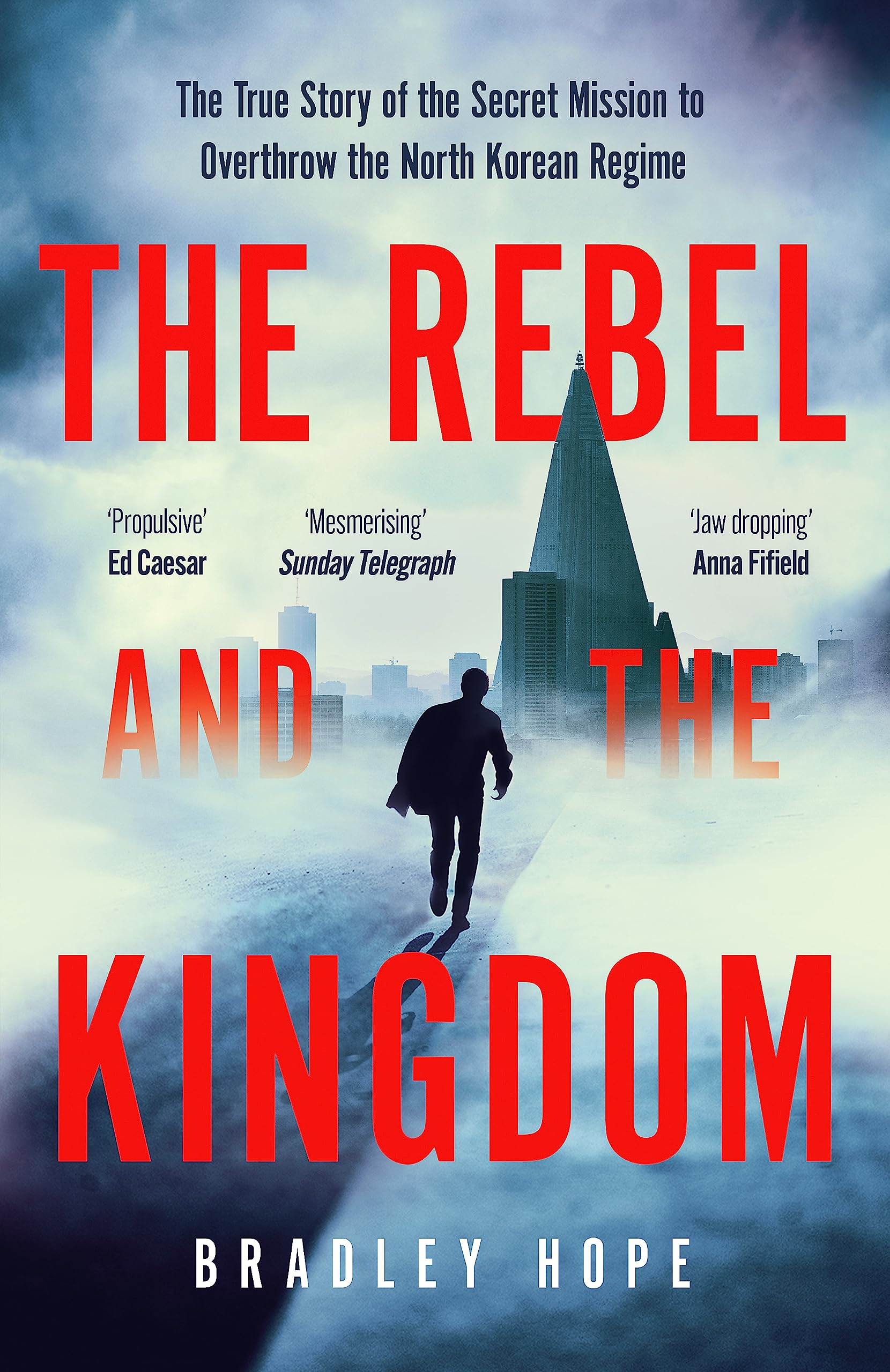 The Rebel and the Kingdom book