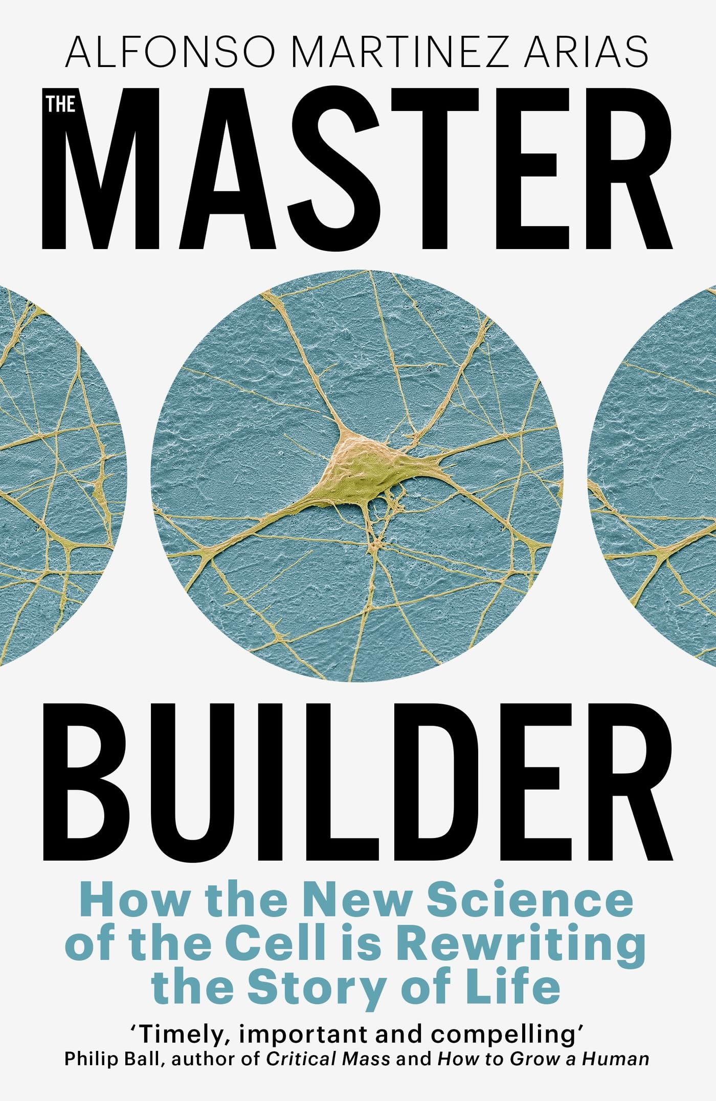 The Master Builder book
