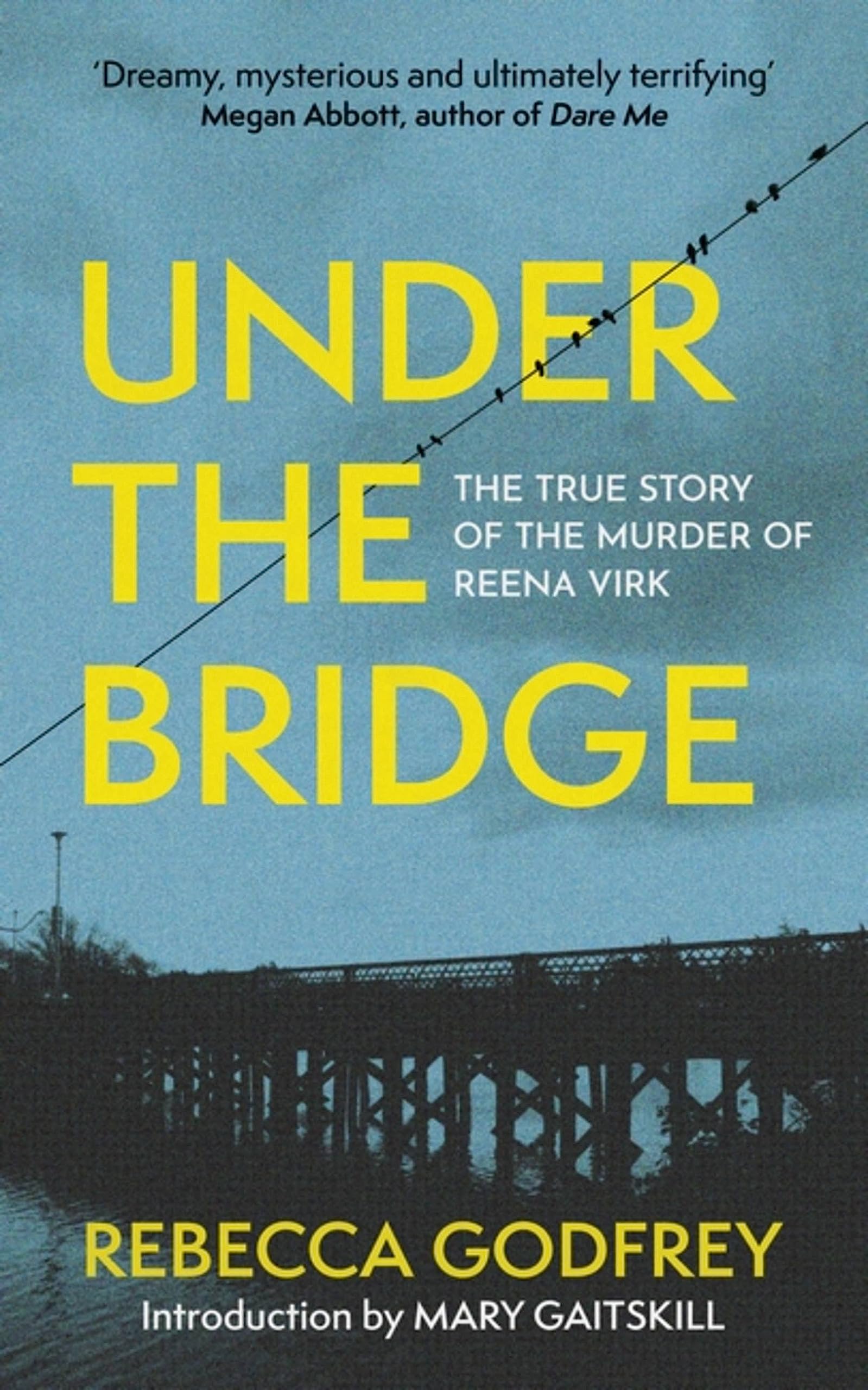 Under the Bridge: Now a Major TV Series Starring Oscar Nominee Lily Gladstone (Father Anselm Novels) Politics & Society