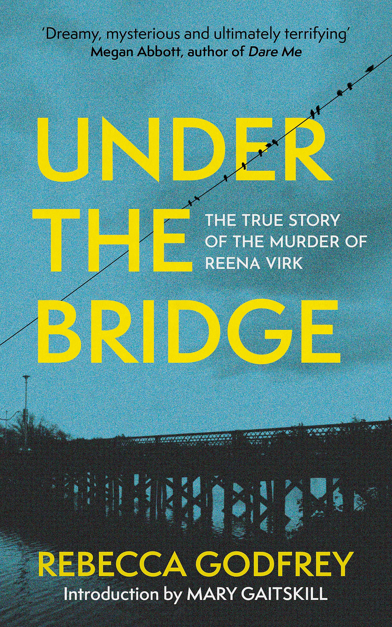 Under the Bridge: Now a Major TV Series Starring Oscar Nominee Lily Gladstone Politics & Society