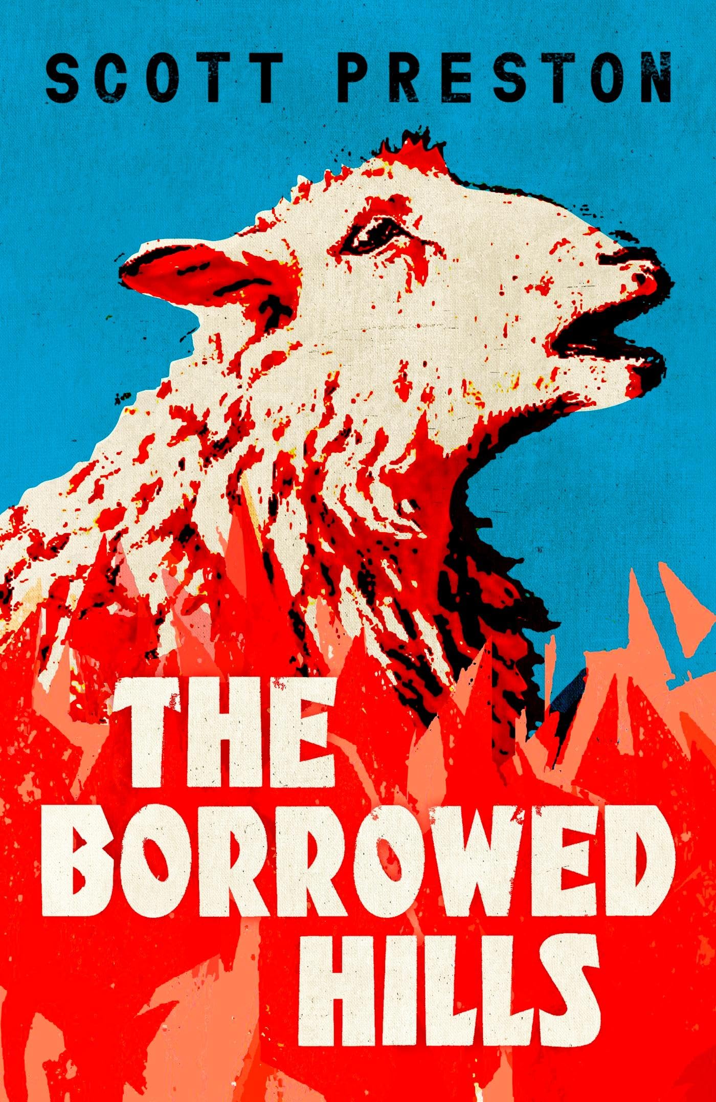 The Borrowed Hills: 'A sucker-punch of a novel' Guardian Contemporary literature