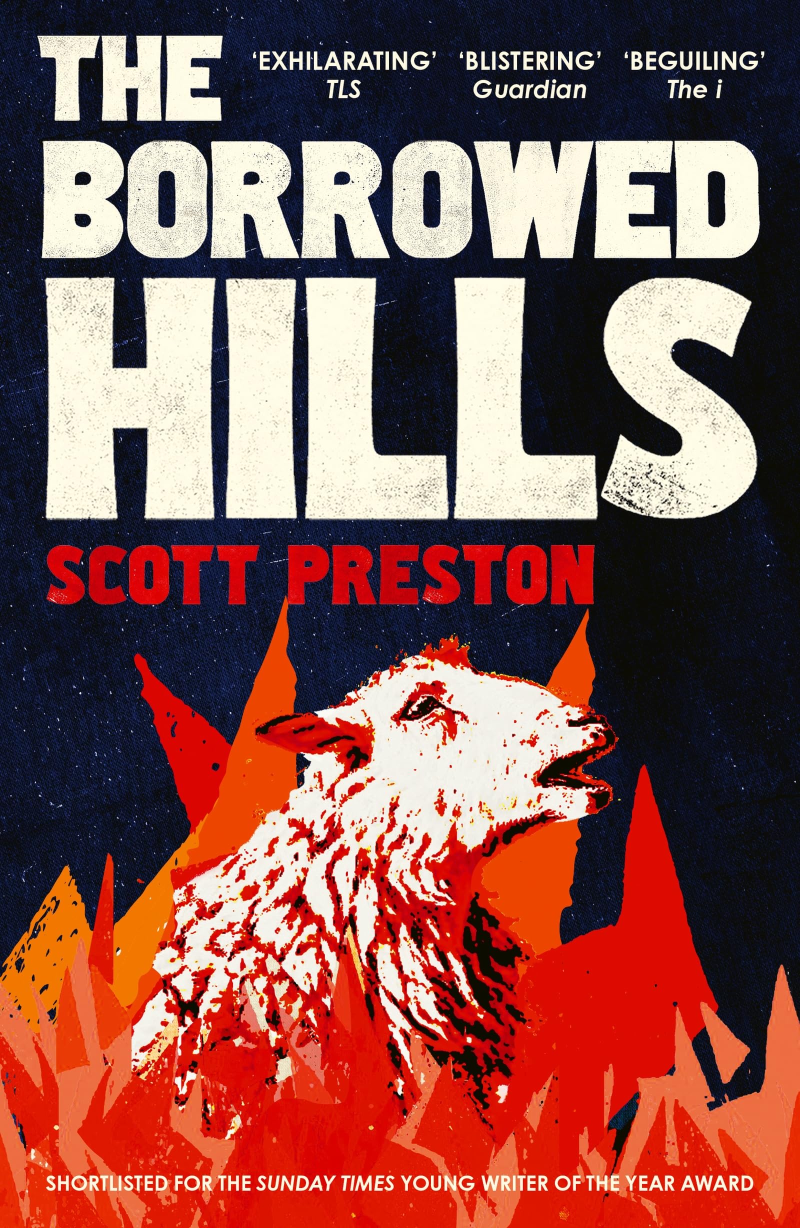 The Borrowed Hills: 'A sucker-punch of a novel' Guardian Contemporary literature