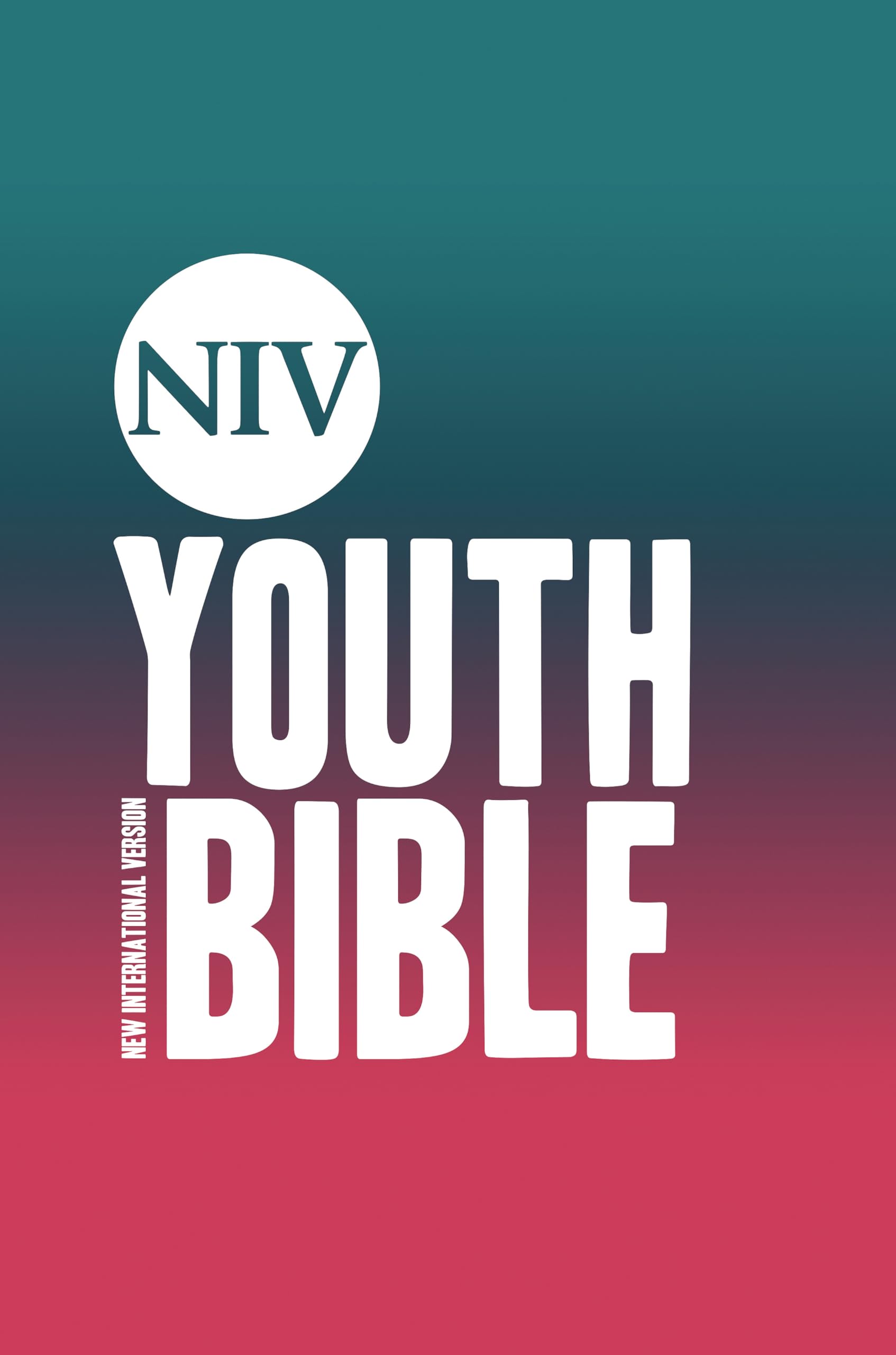 NIV Youth Bible Hardback (New International Version) Religion & Esotericism