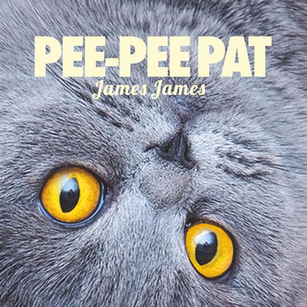 Pee-Pee Pat (Hilarious Children's Picture Book, Band 1) Non-fiction