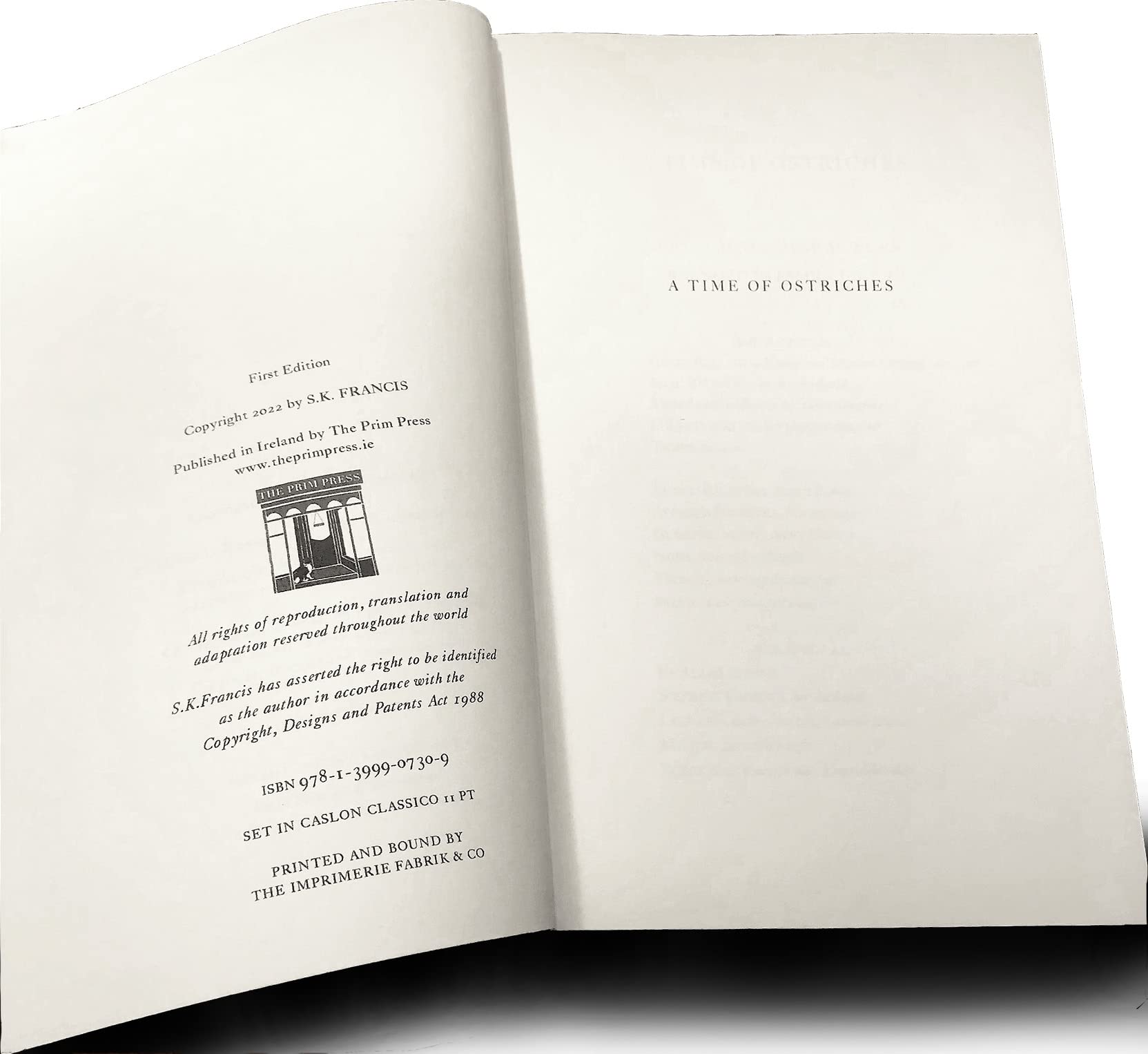 A Time Of Ostriches: Book One Contemporary literature
