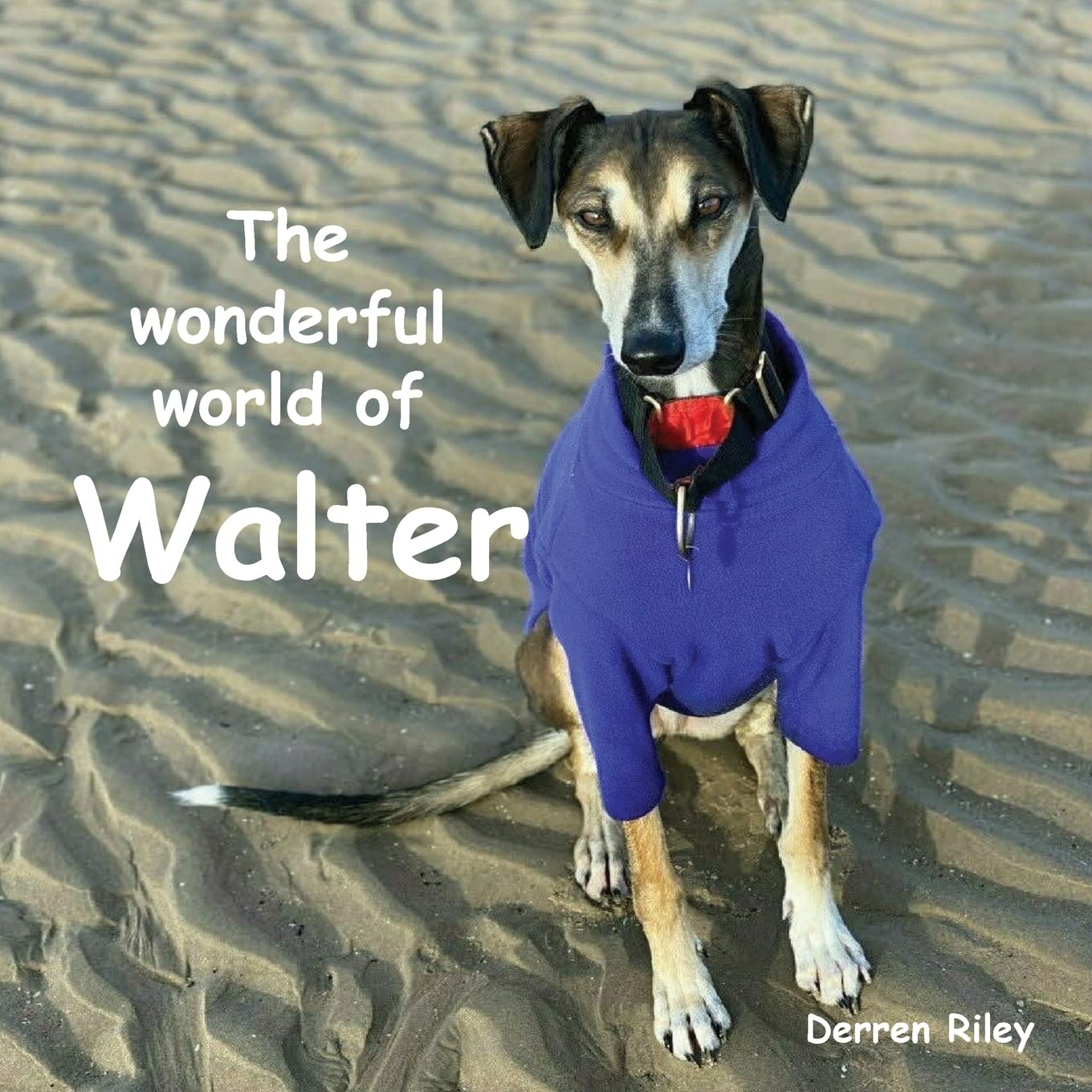 The wonderful world of Walter Pets