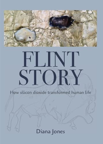 Flint Story: How silicon dioxide transformed human life book