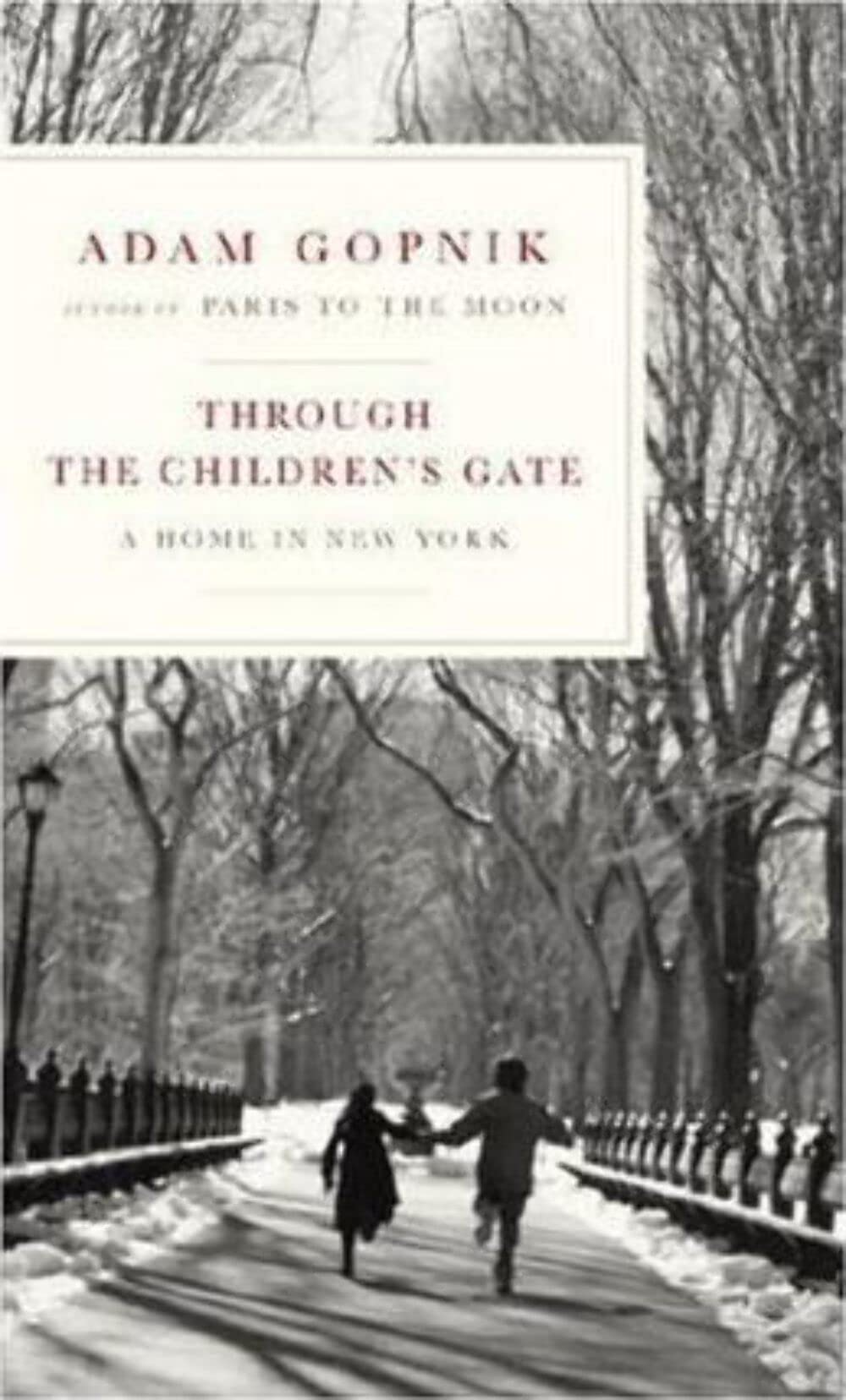 Through the Children's Gate: A Home in New York Politics & Society