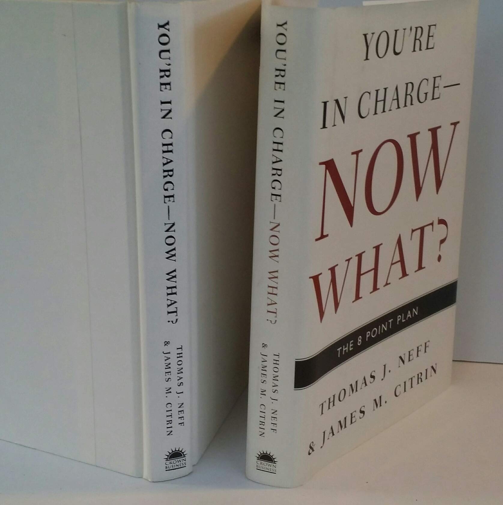 You're in Charge, Now What?: The 8 Point Plan Business, Finance & Career