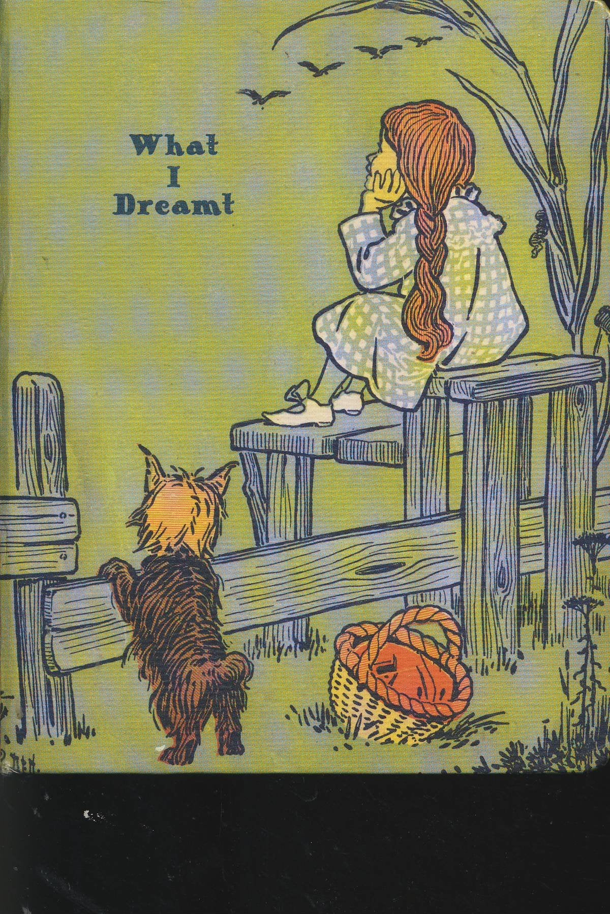 What I Dreamt Mini Journal (Potter Style) Leisure, Home & Garden