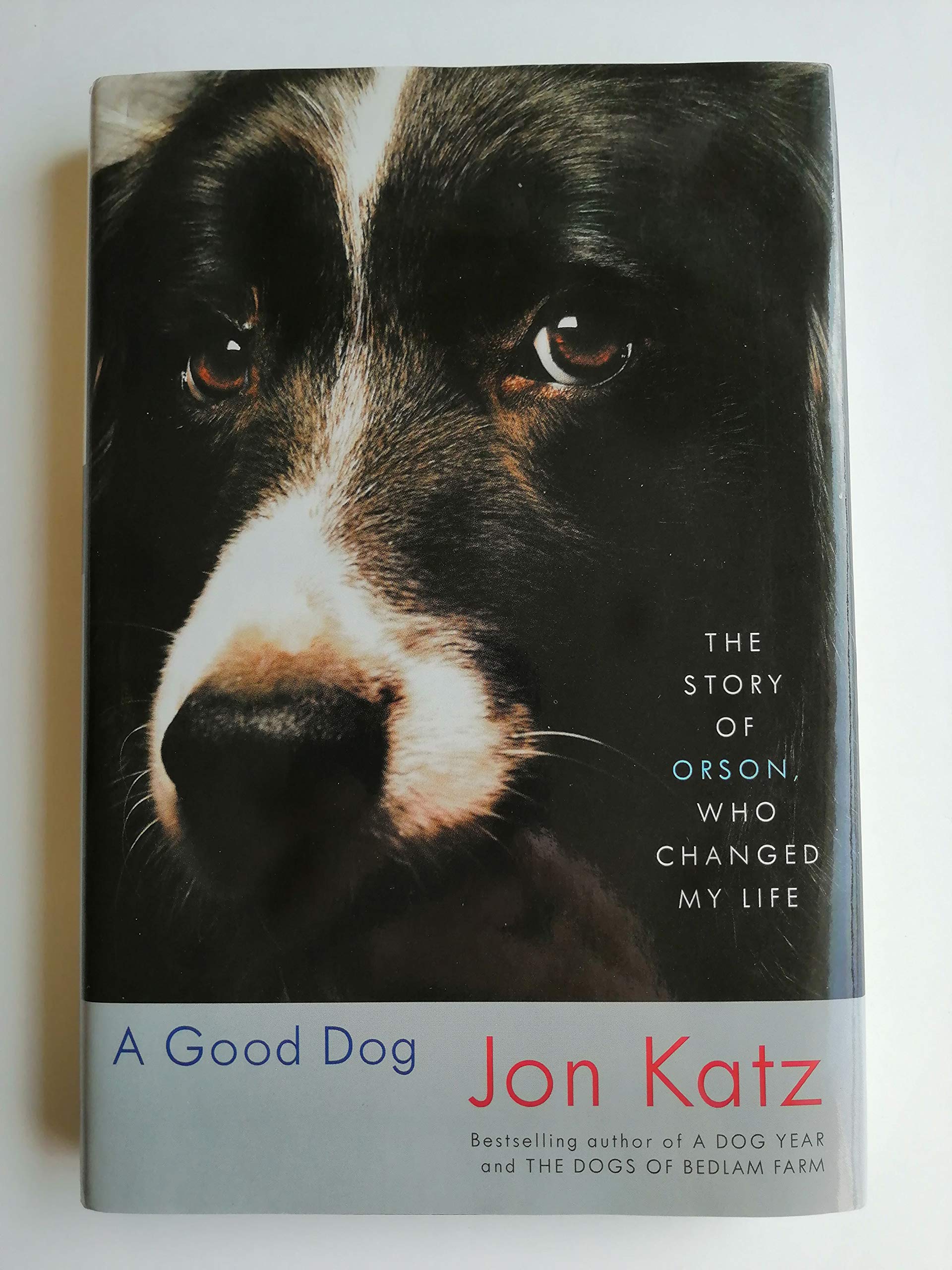 A Good Dog: The Story of Orson, Who Changed My Life Pets