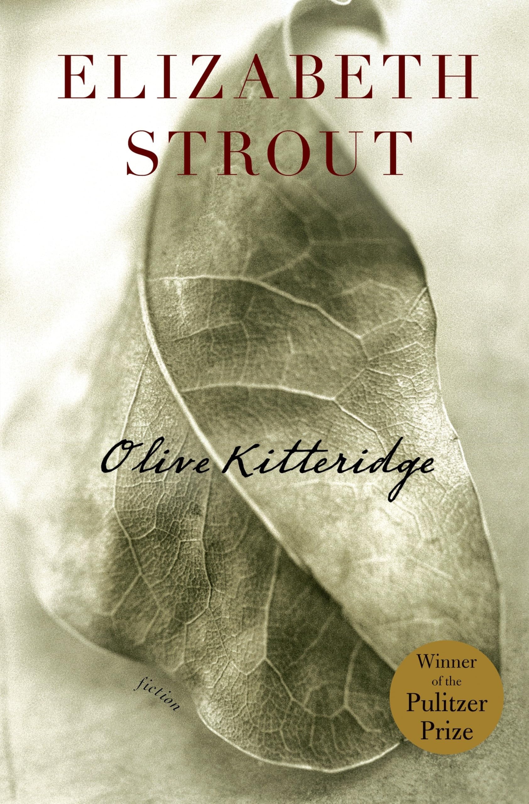 Olive Kitteridge Contemporary literature Books