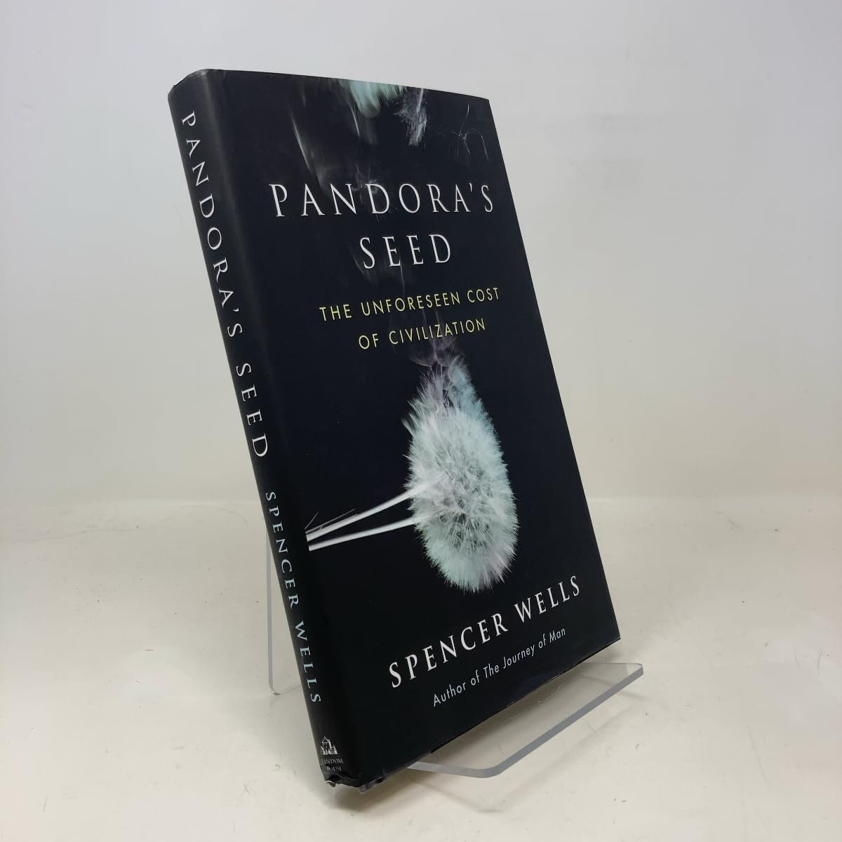 Pandora's Seed: The Unforeseen Cost of Civilization Mathematics