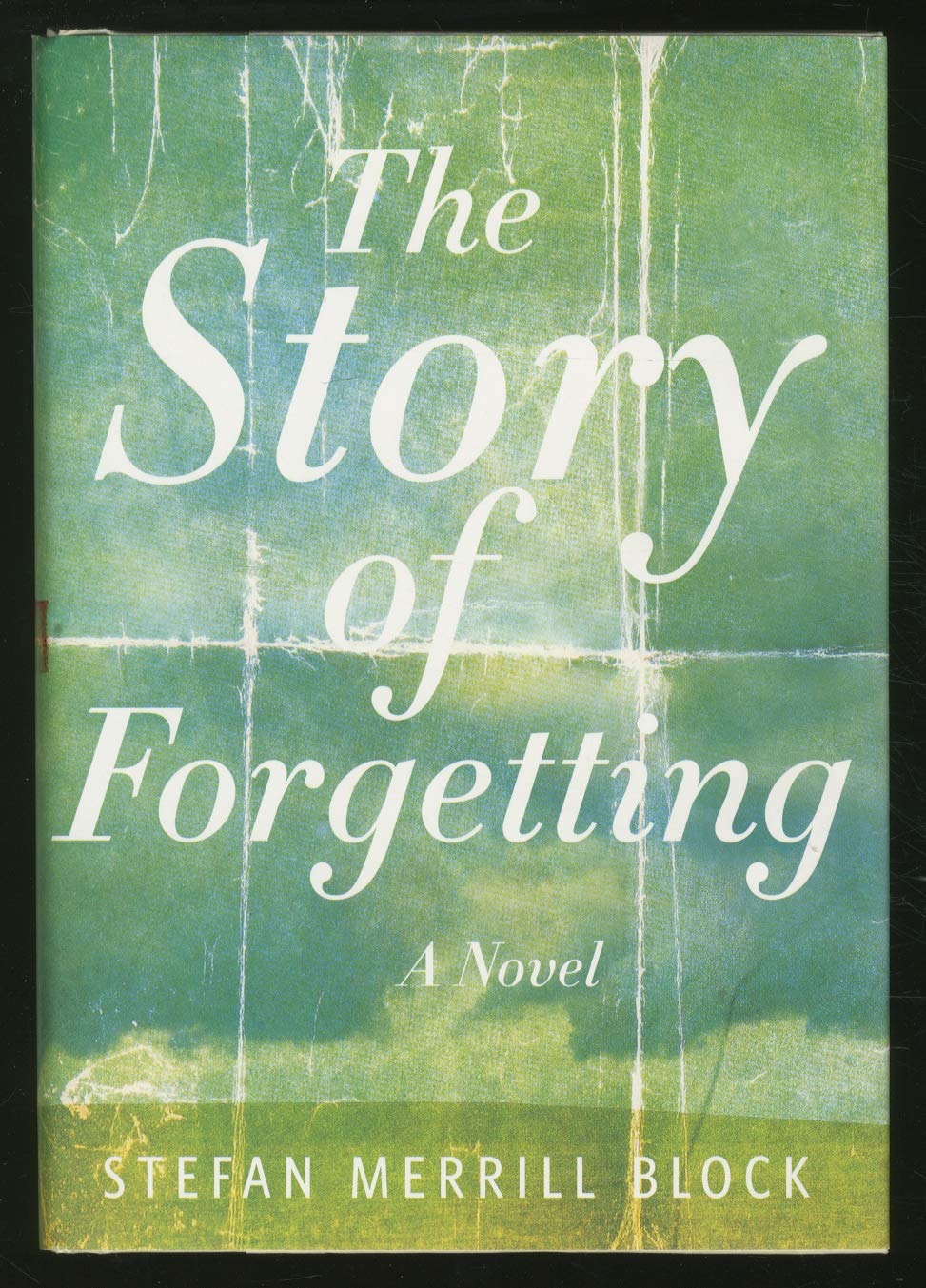 The Story of Forgetting: A Novel Contemporary literature