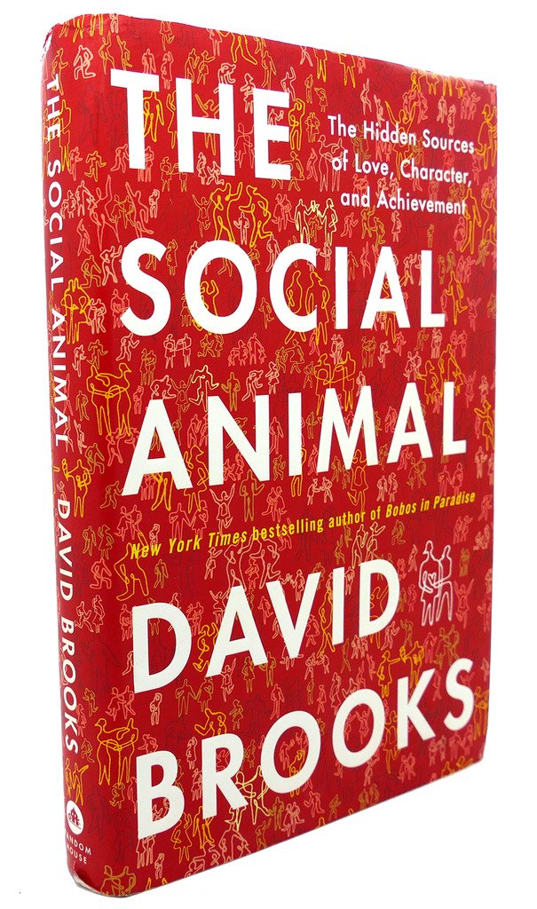 The Social Animal: The Hidden Sources of Love, Character, and Achievement Social Sciences