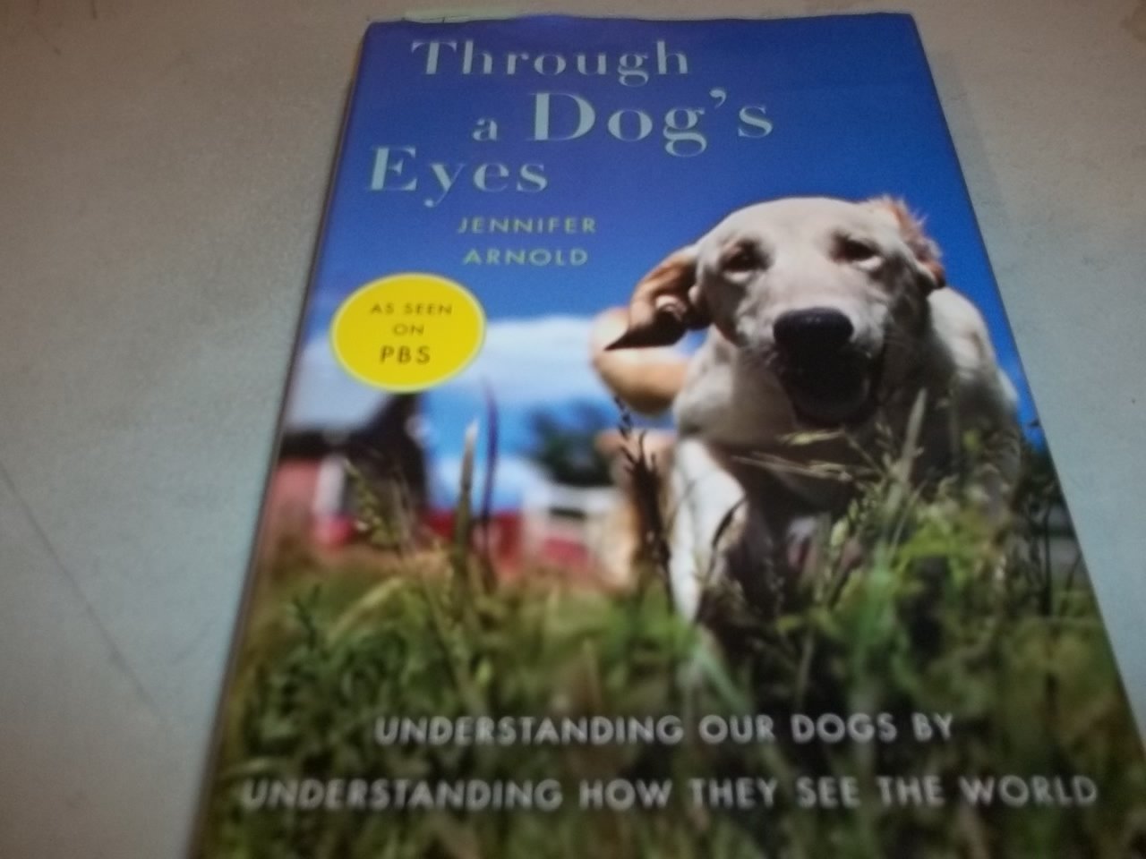 Through a Dog's Eyes Art & Literature Books