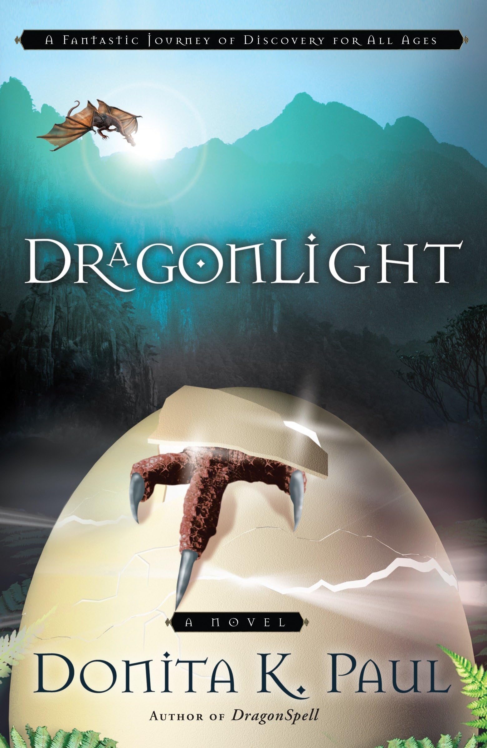 DragonLight Contemporary literature Books