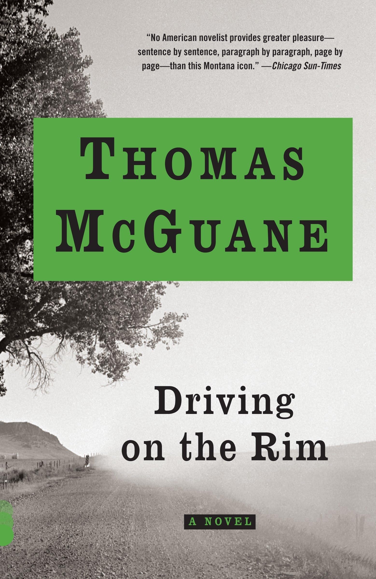 Driving on the Rim: A novel (Vintage Contemporaries) Contemporary literature