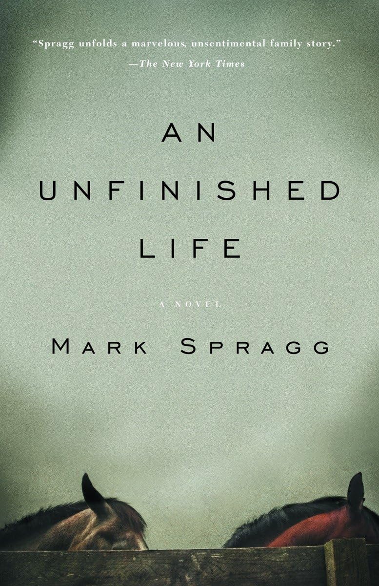 An Unfinished Life Contemporary literature Books