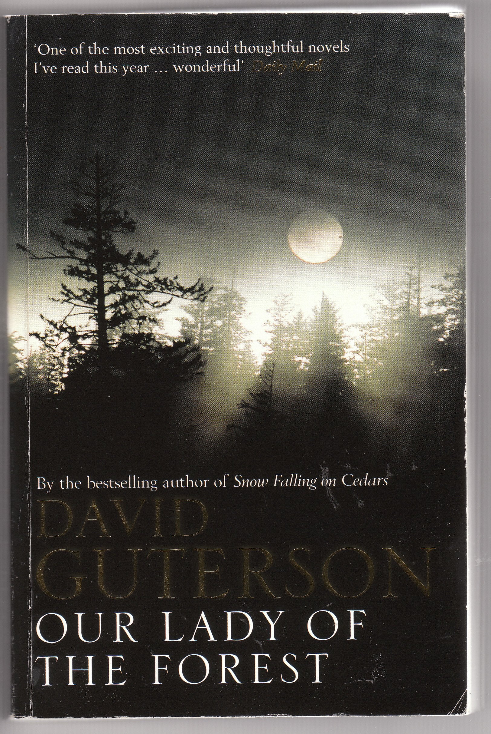 Our Lady of the Forest: A Novel Contemporary literature