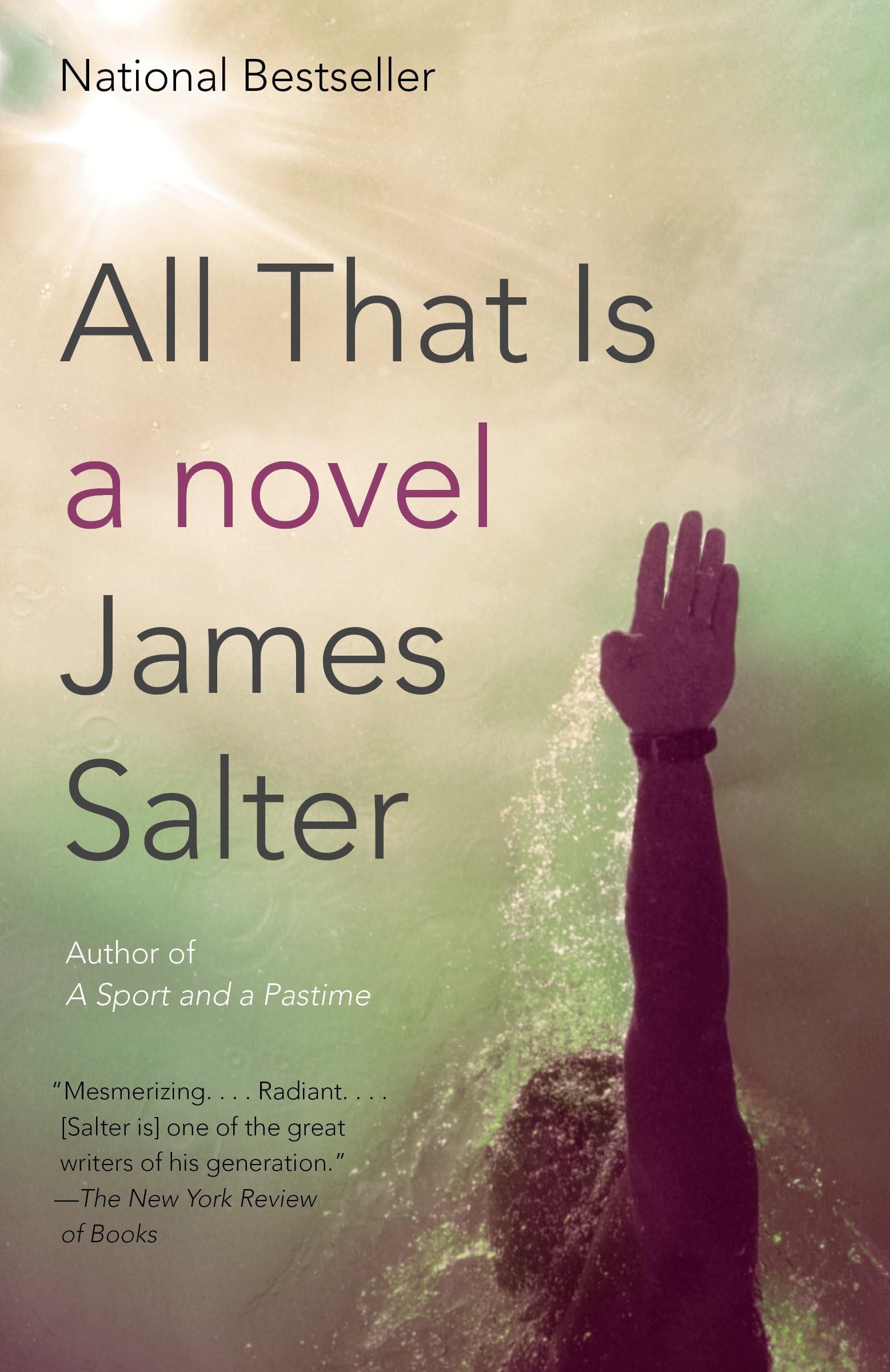 All That Is: A Novel (Vintage International) Contemporary literature
