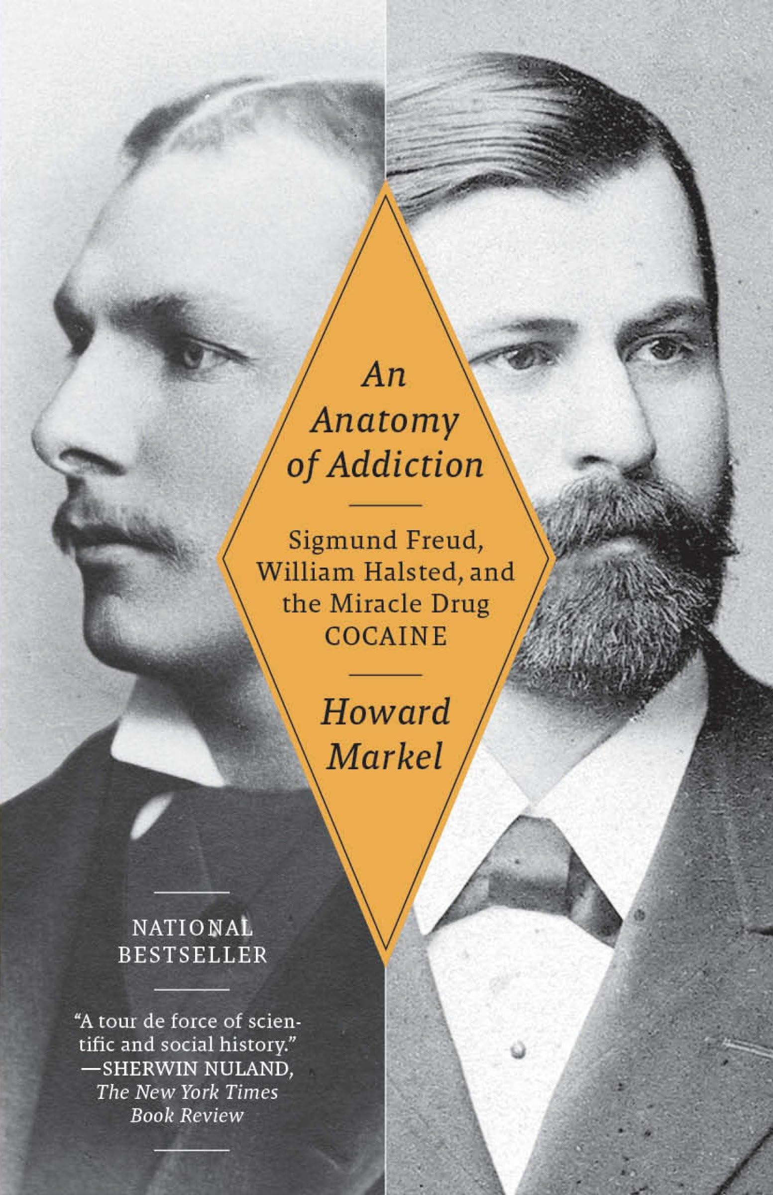 An Anatomy of Addiction Medicine