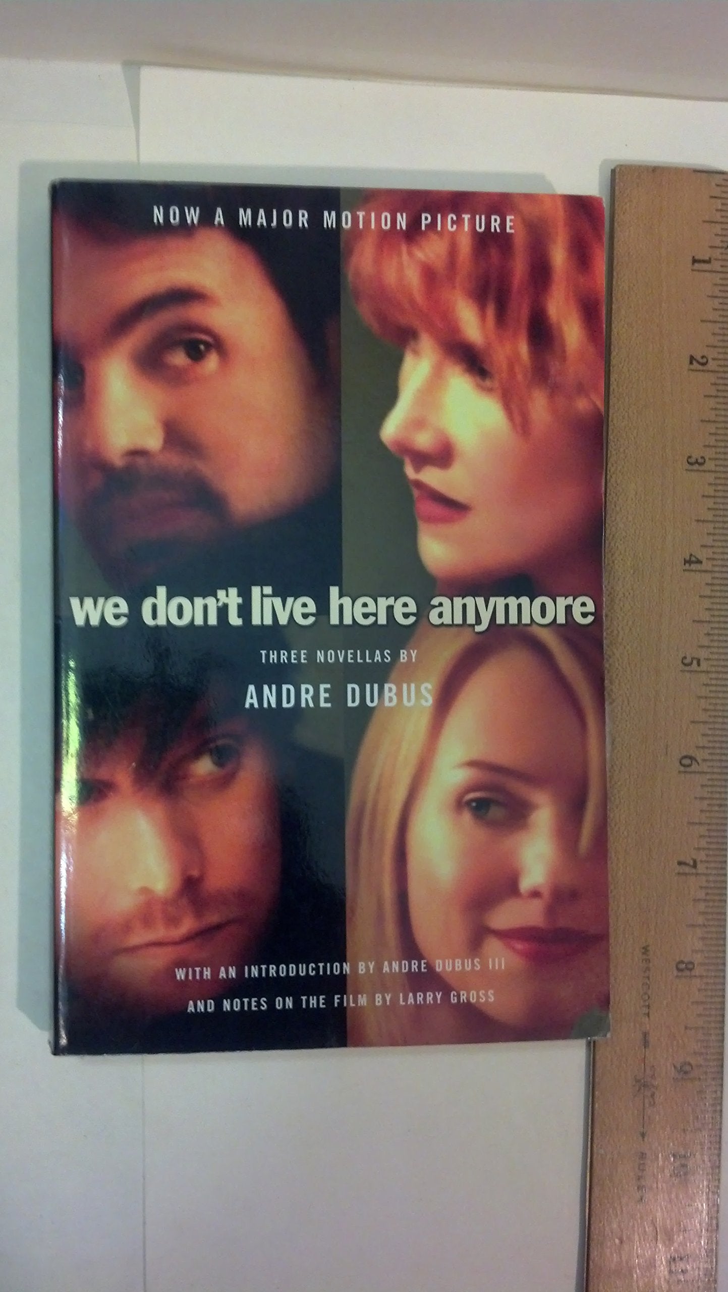 We Don't Live Here Anymore: Three Novellas (Vintage Contemporaries) Contemporary literature