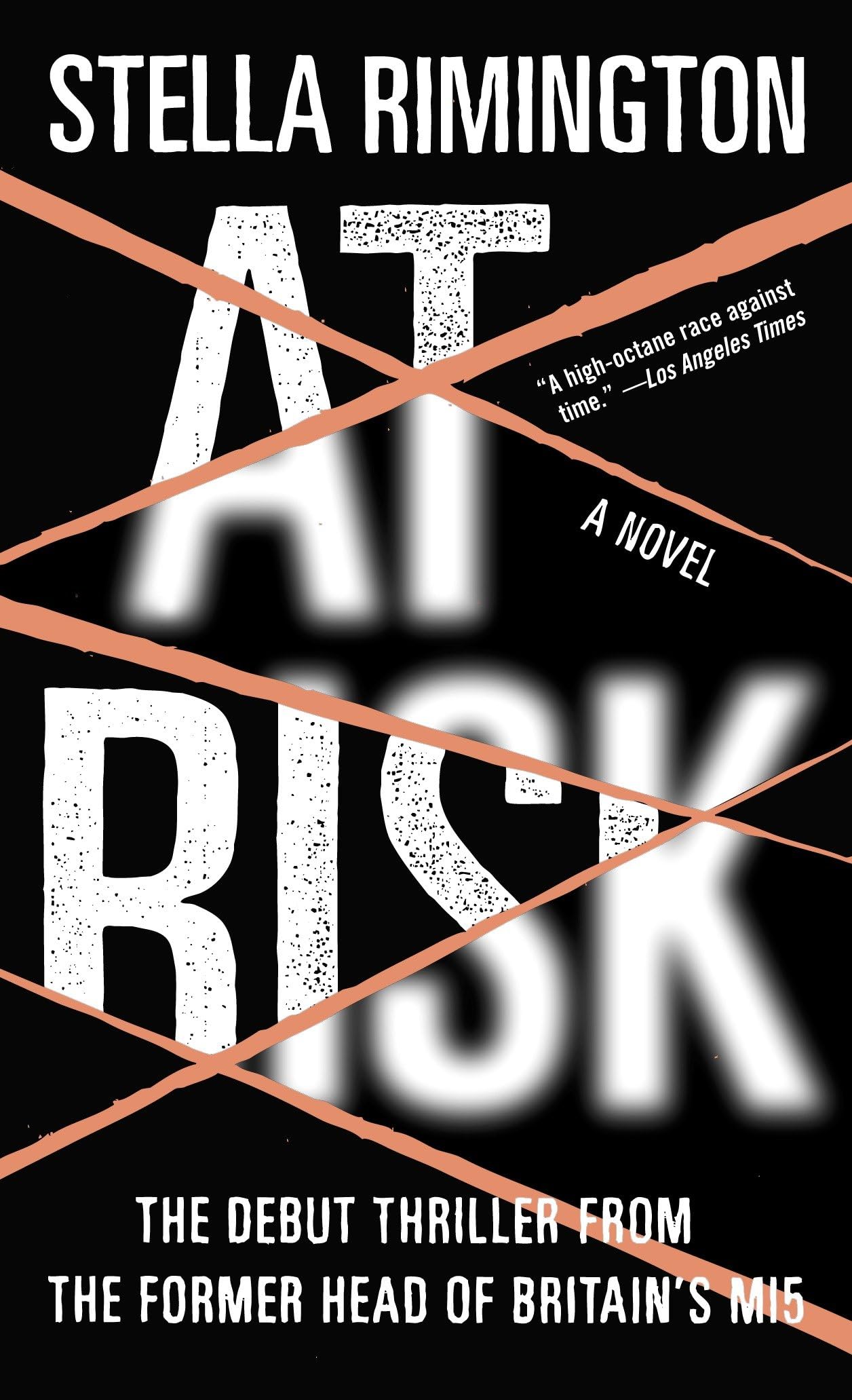 At Risk Contemporary literature Books