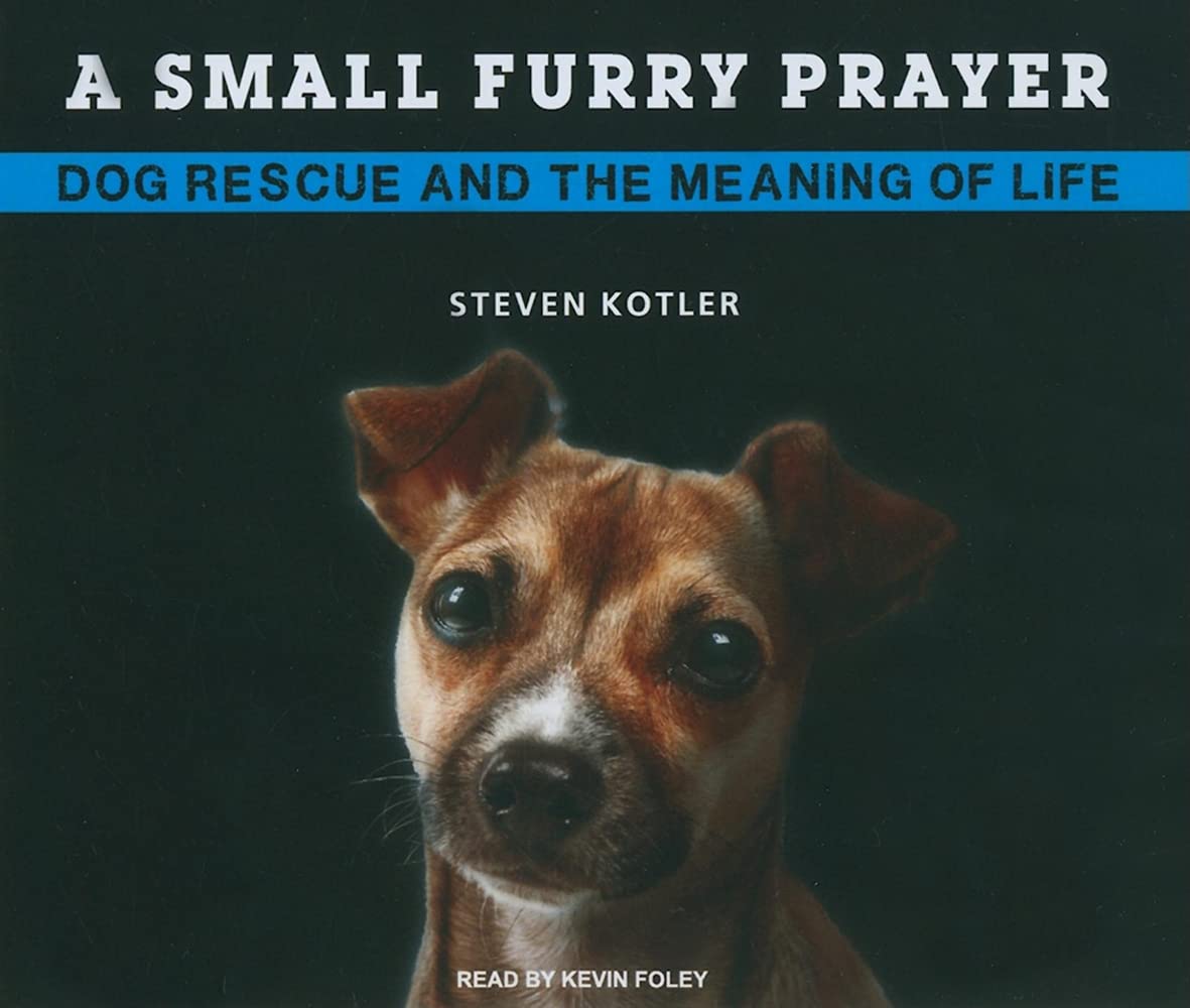 A Small Furry Prayer: Dog Rescue and the Meaning of Life Pets