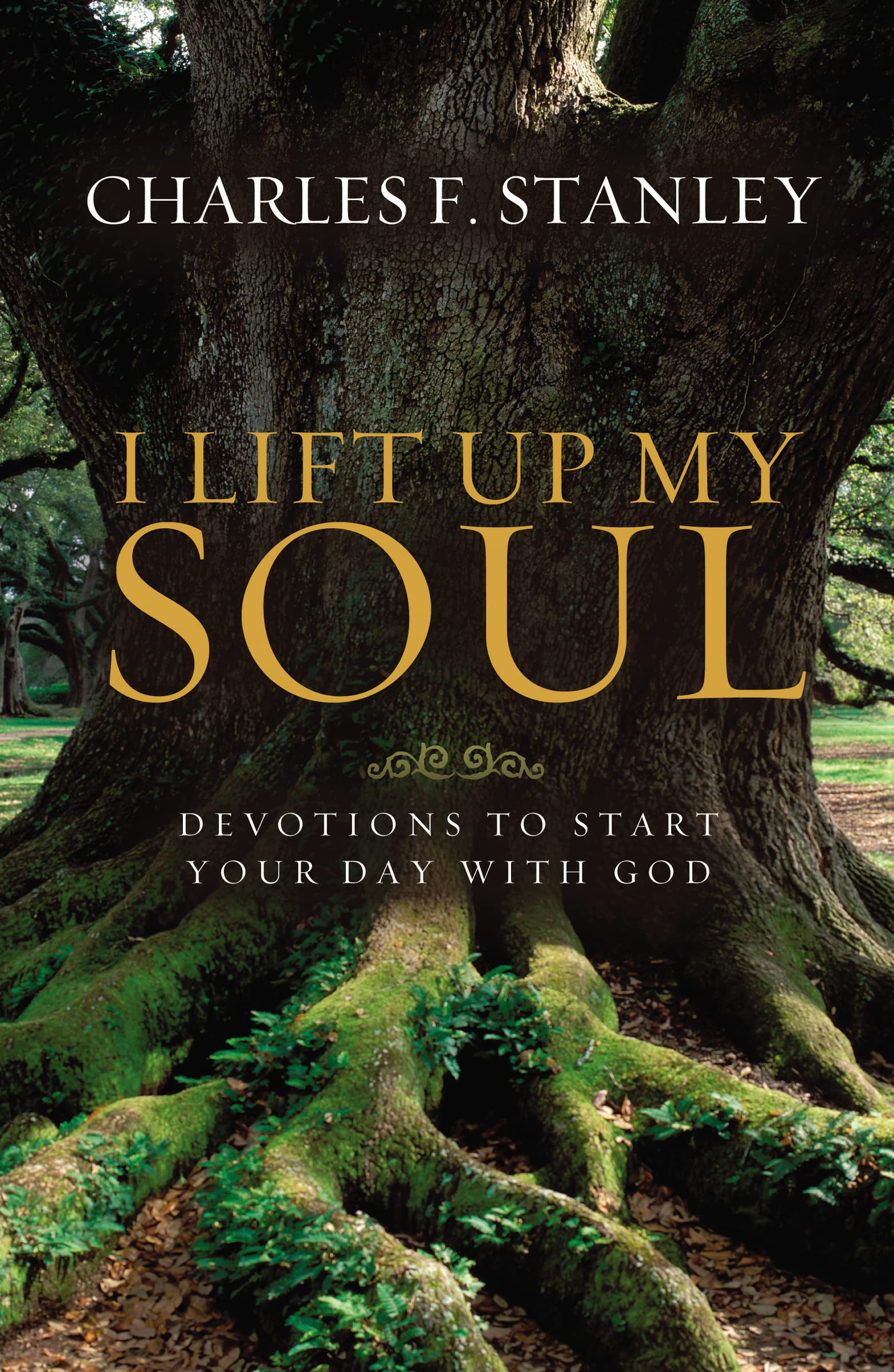 I Lift Up My Soul: Devotions to Start Your Day with God Religion & Esotericism