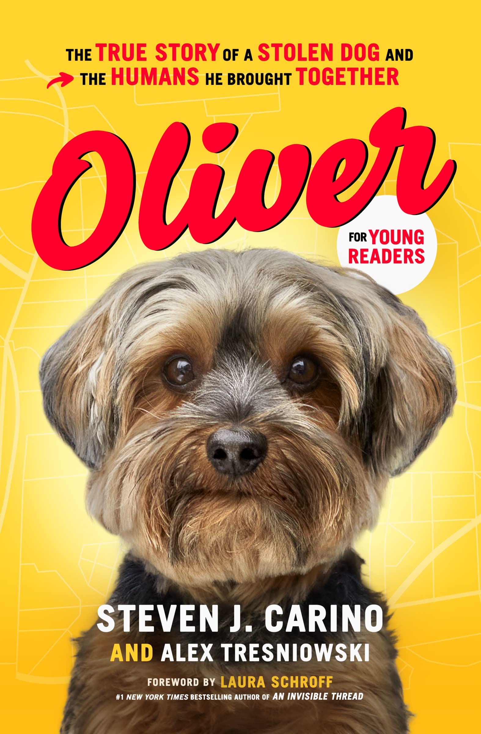 Oliver for Young Readers: The True Story of a Stolen Dog and the Humans He Brought Together Pets