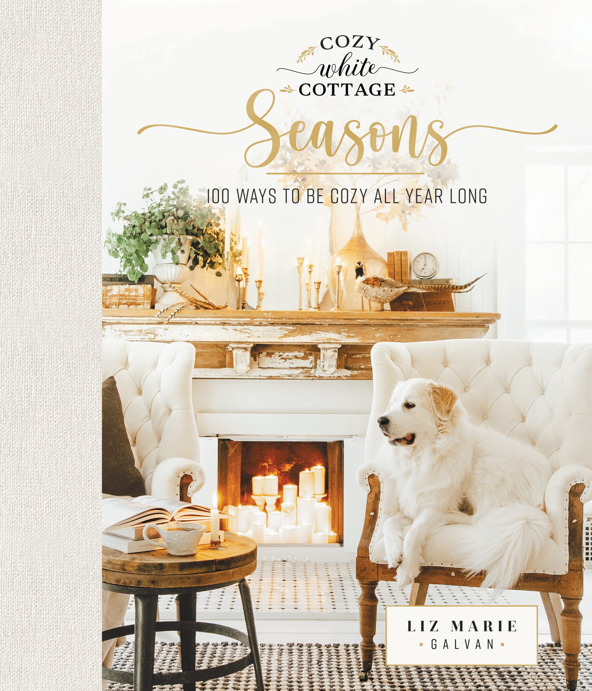 Cozy White Cottage Seasons Business & Technology