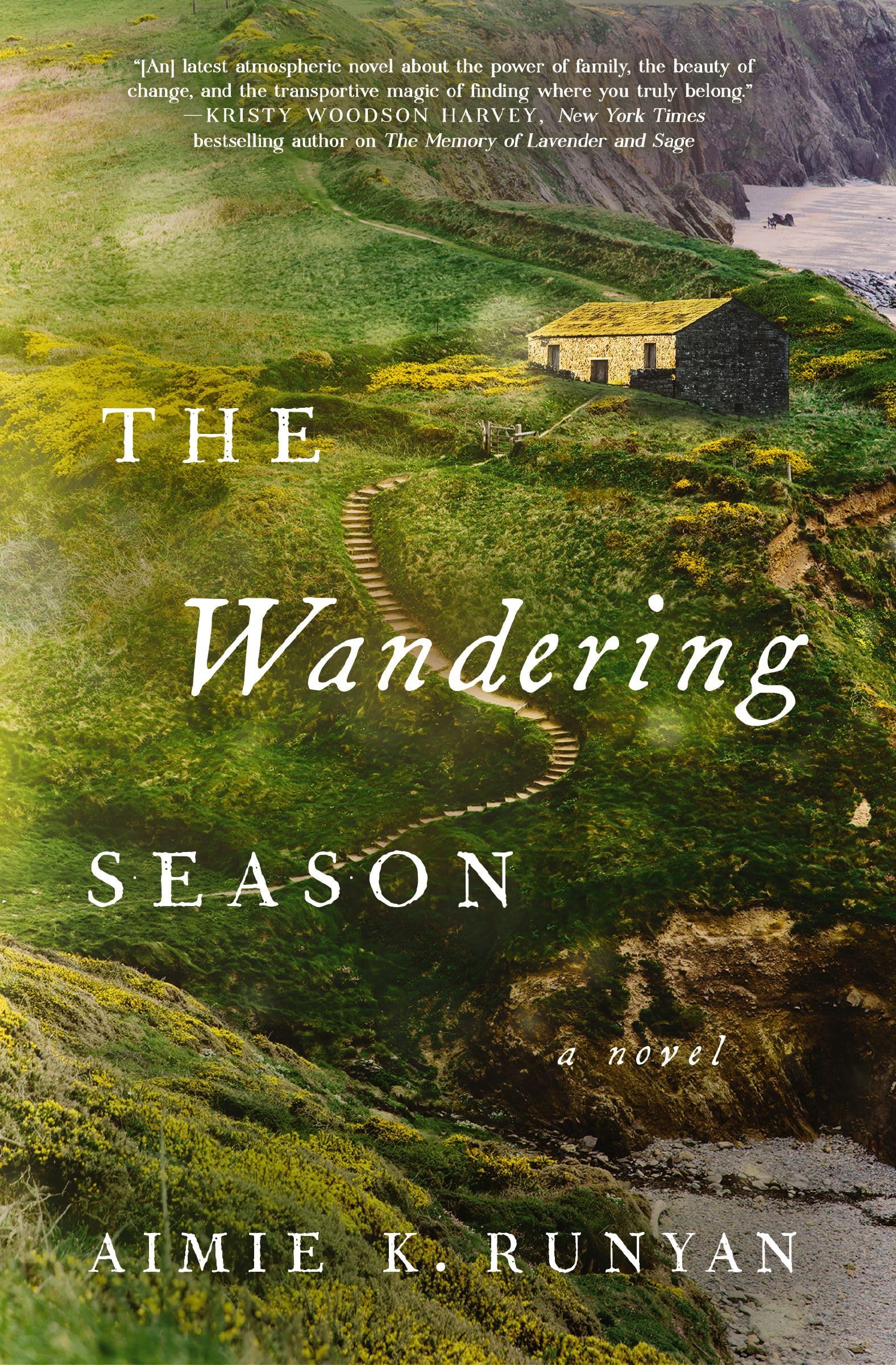 The Wandering Season: A Novel Contemporary literature