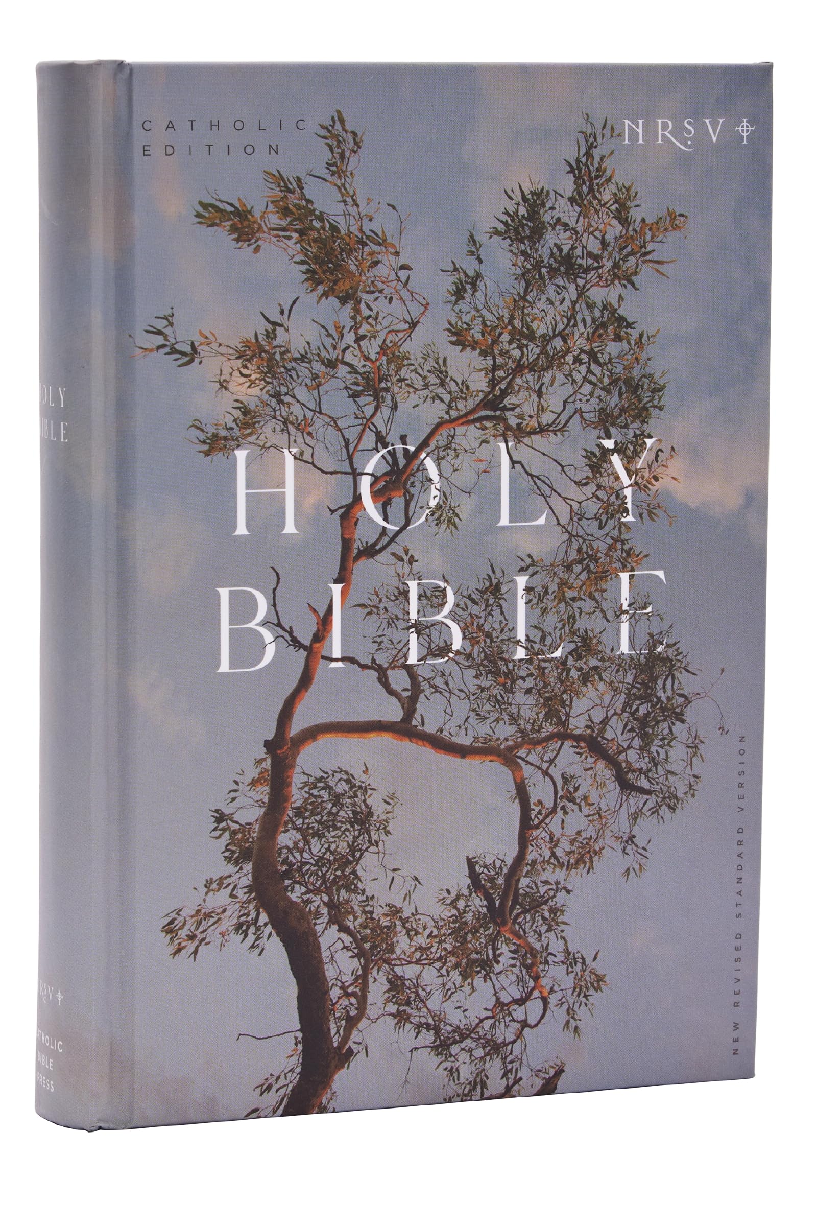 NRSV Catholic Edition Bible, Eucalyptus Hardcover (Global Cover Series) Religion & Esotericism