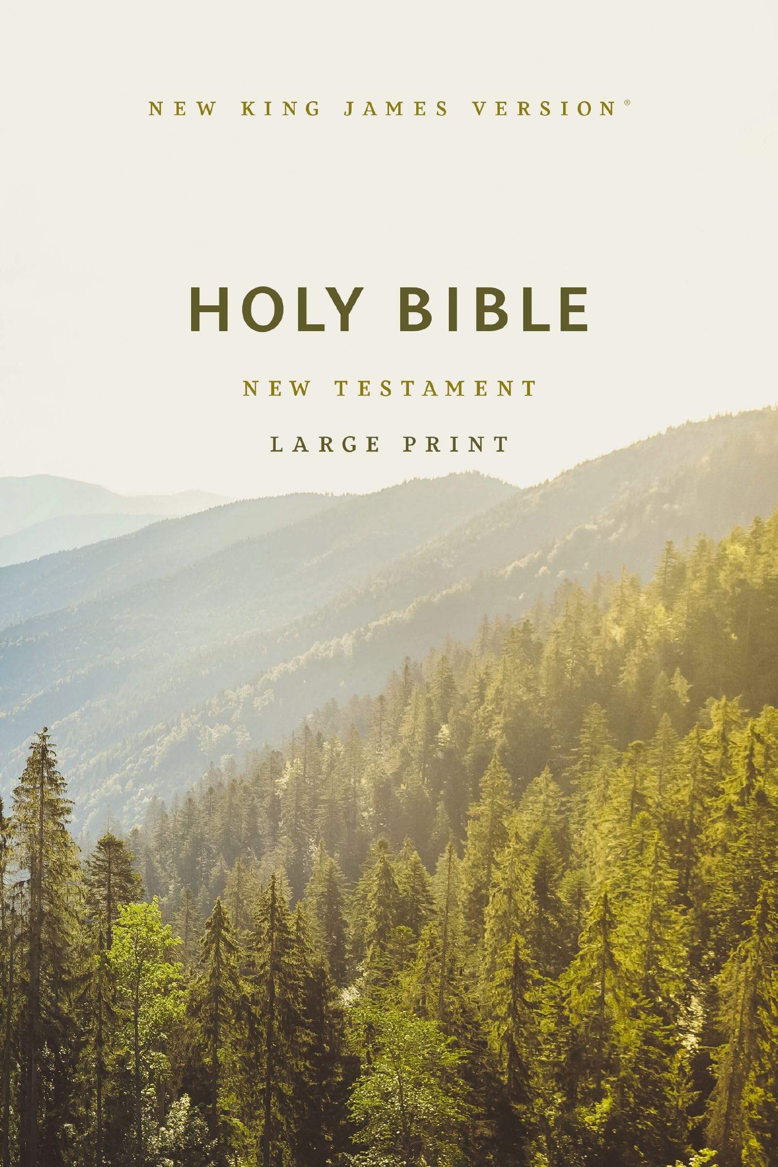 NKJV Large Print Outreach New Testament Bible, Scenic Softcover, Comfort Print: New King James Version Outreach New Testament, Comfort Print Religion & Esotericism