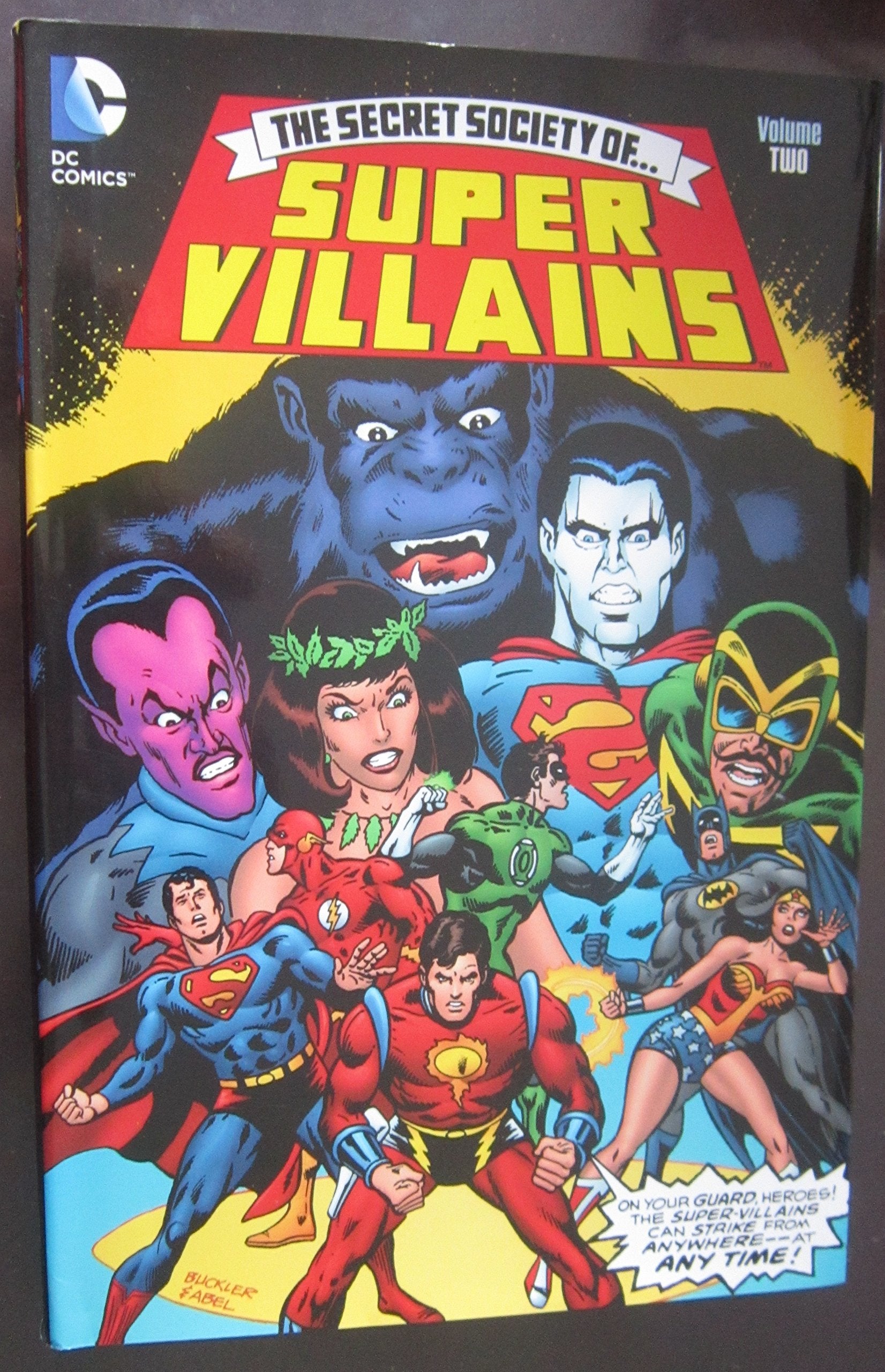 Secret Society of Super Villains Manga