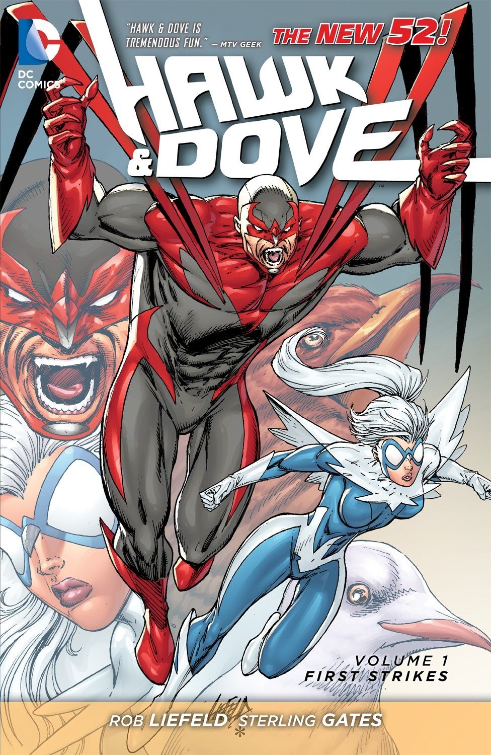 Hawk And Dove Vol. 1: First Strikes (The New 52) (Hawk & Dove, Band 1) Manga