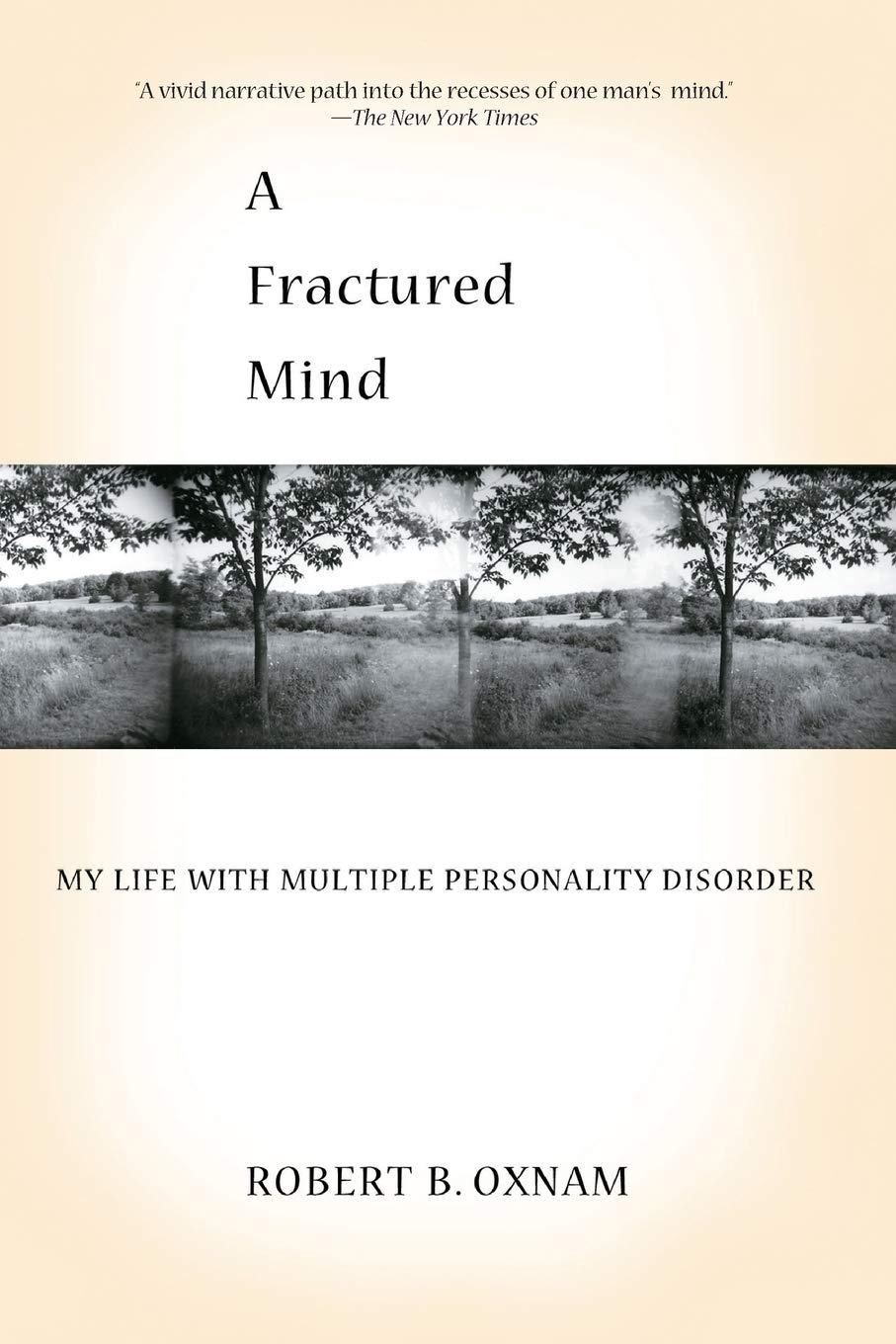 A Fractured Mind: My Life with Multiple Personality Disorder Art & Literature