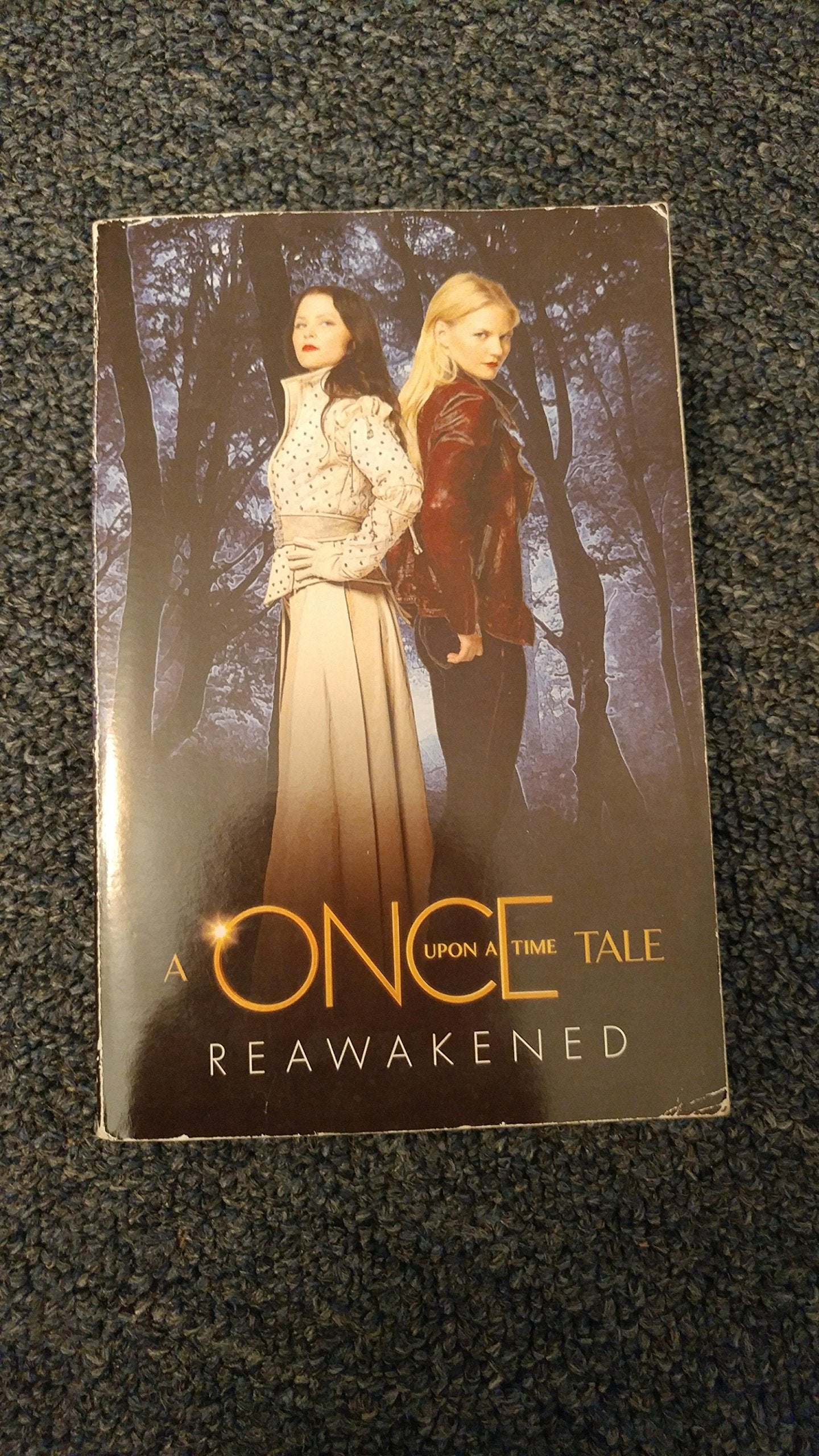 Product Image: Reawakened: A Once Upon a Time Tale