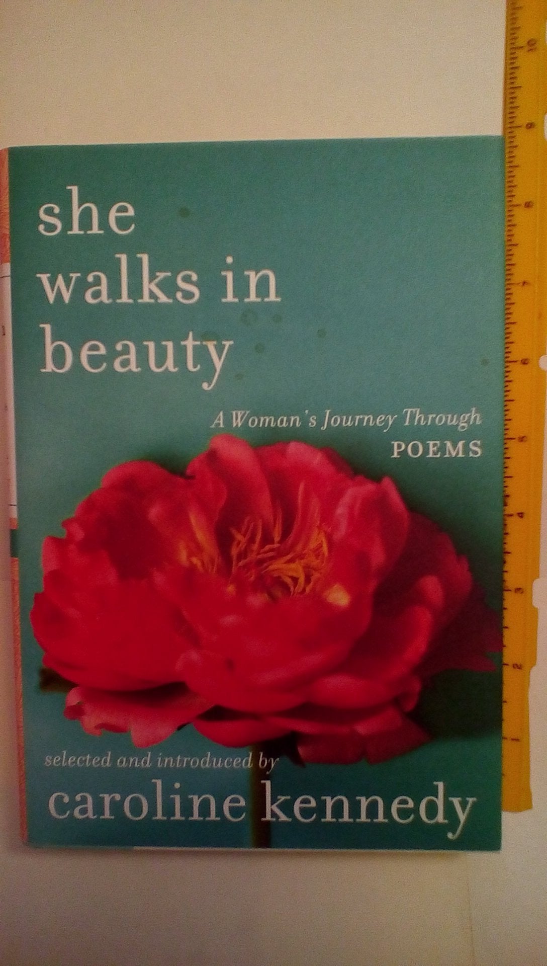She Walks in Beauty: A Woman's Journey Through Poems Poetry