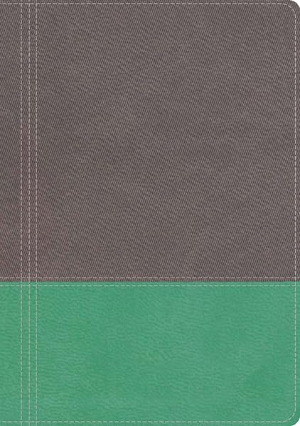 The Modern Life Study Bible: New King James Version, God's Word for Our World, Dove Gray/Lagoon Green Leathersoft Religion & Esotericism