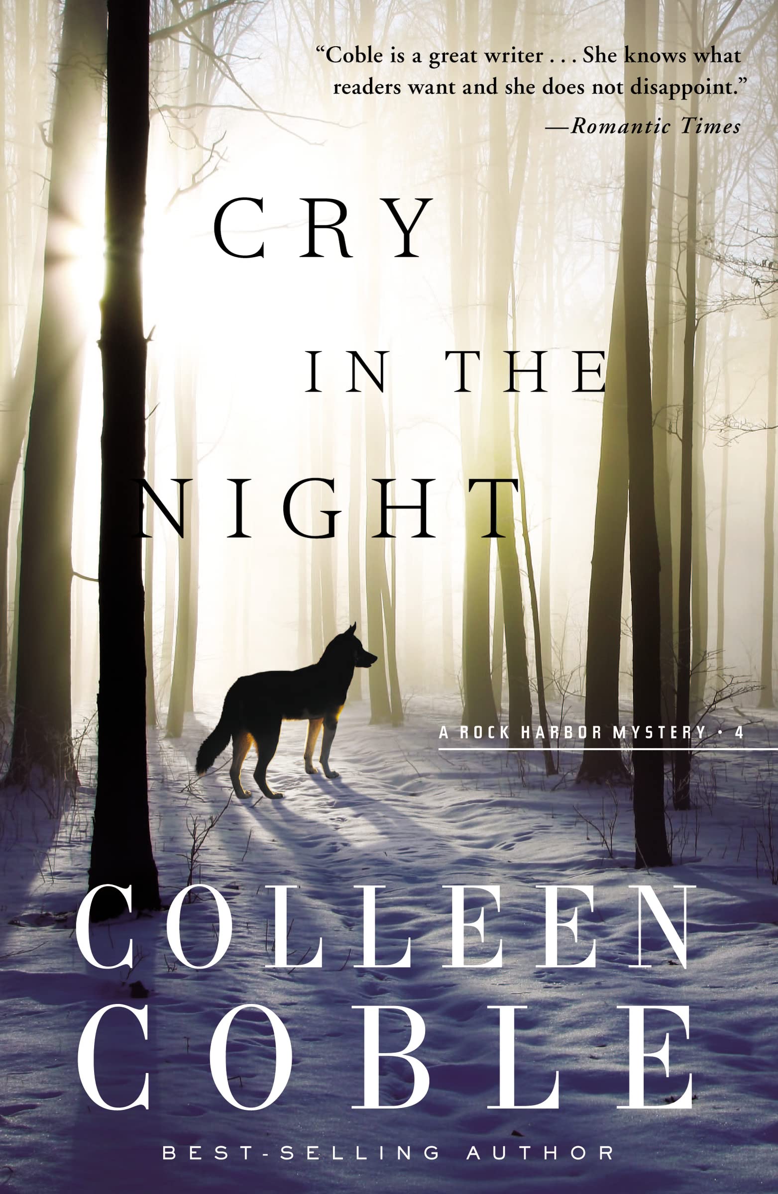 Cry in the Night (Rock Harbor Series, Band 4) Detective & CSI