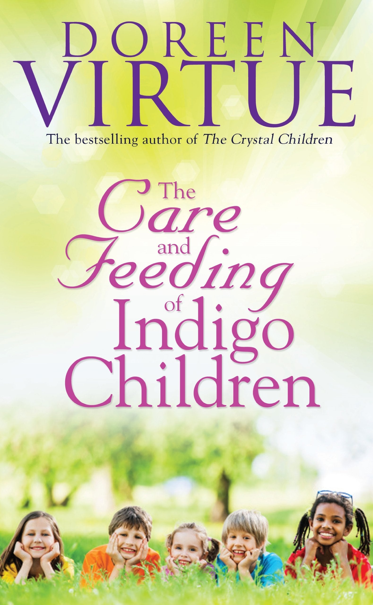 The Care and Feeding of Indigo Children book