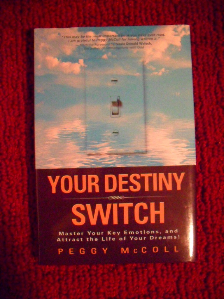 Your Destiny Switch: Master Your Key Emotions, and Attract the Life of Your Dreams Business, Finance & Career