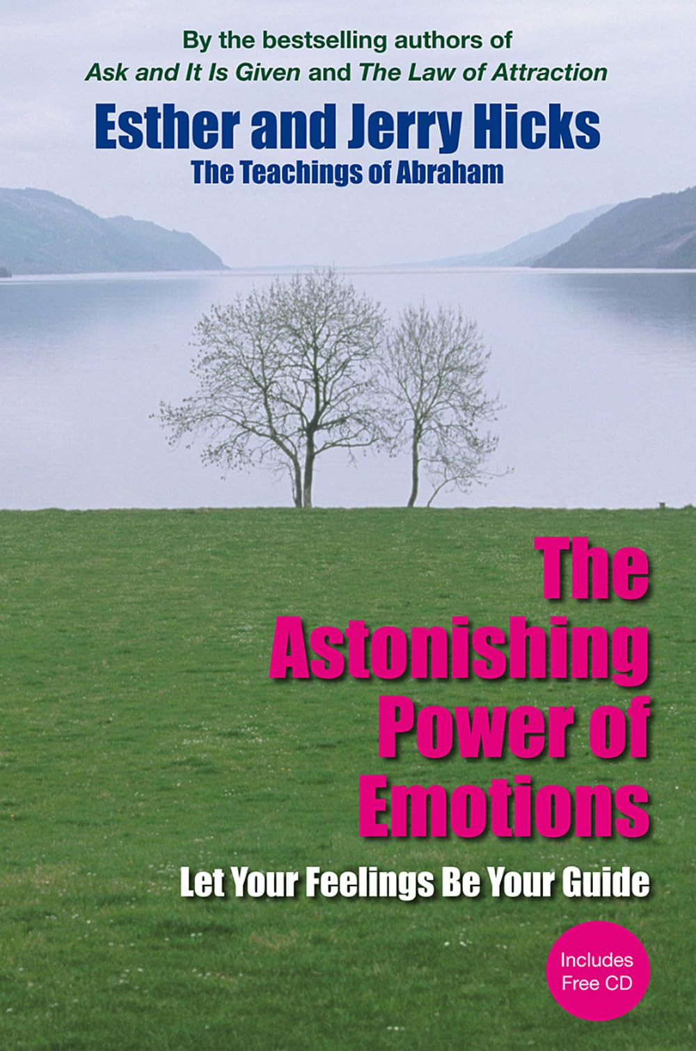 Astonishing Power of Emotions: Let Your Feelings Be Your Guide Business, Finance & Career