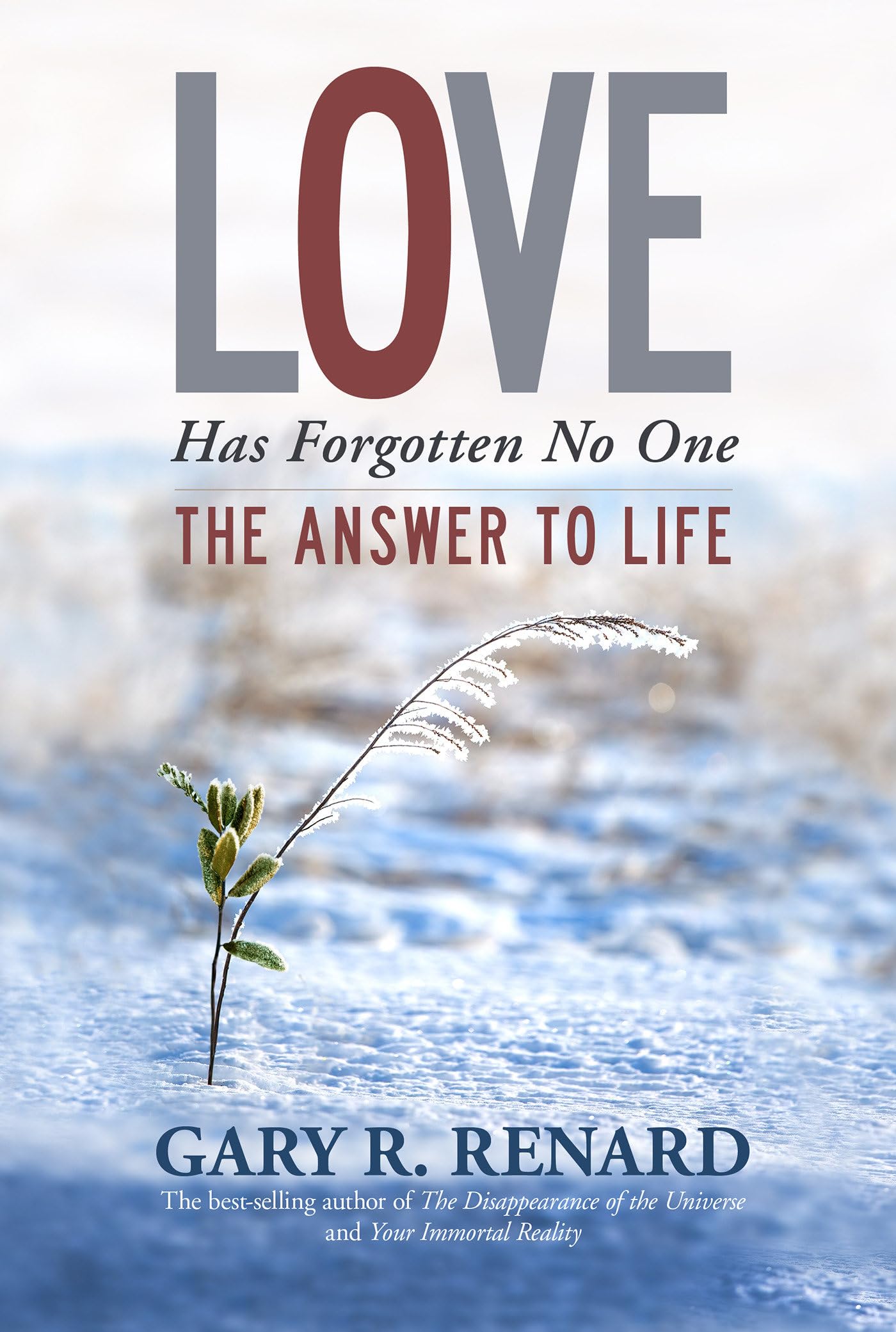 Product Image: Love Has Forgotten No One