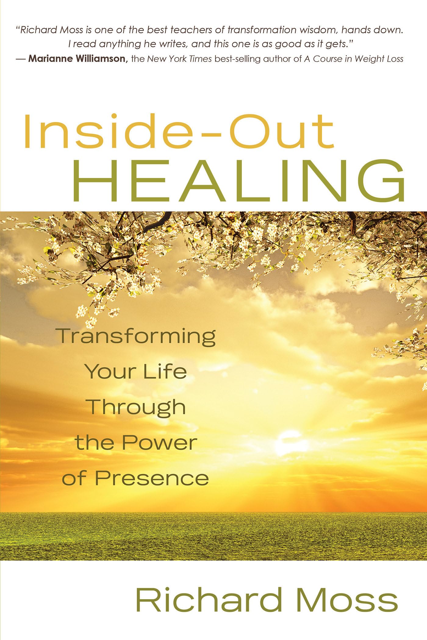 Inside-Out Healing: Transforming Your Life Through the Power of Presence Medicine